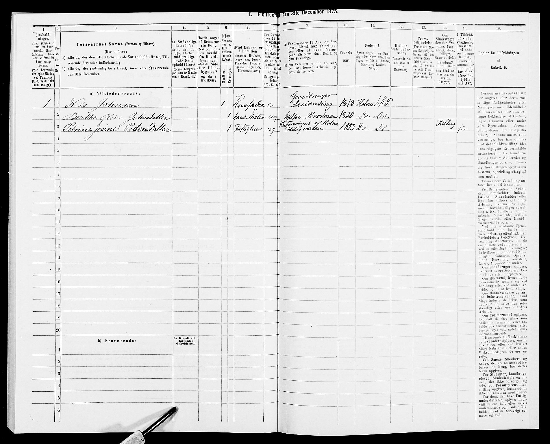 SAK, 1875 census for 1020P Holum, 1875, p. 446