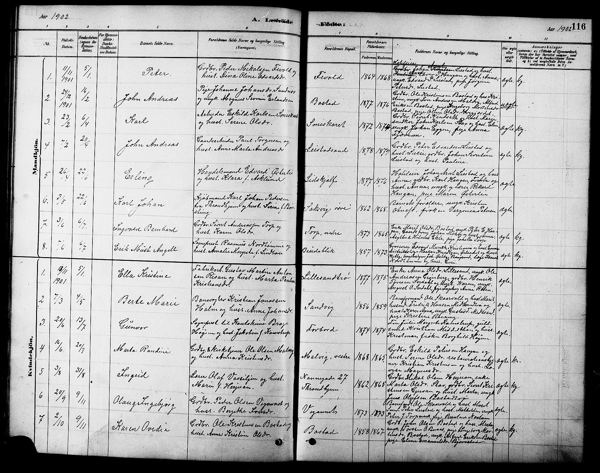 Ministerialprotokoller, klokkerbøker og fødselsregistre - Sør-Trøndelag, SAT/A-1456/616/L0423: Parish register (copy) no. 616C06, 1878-1903, p. 116