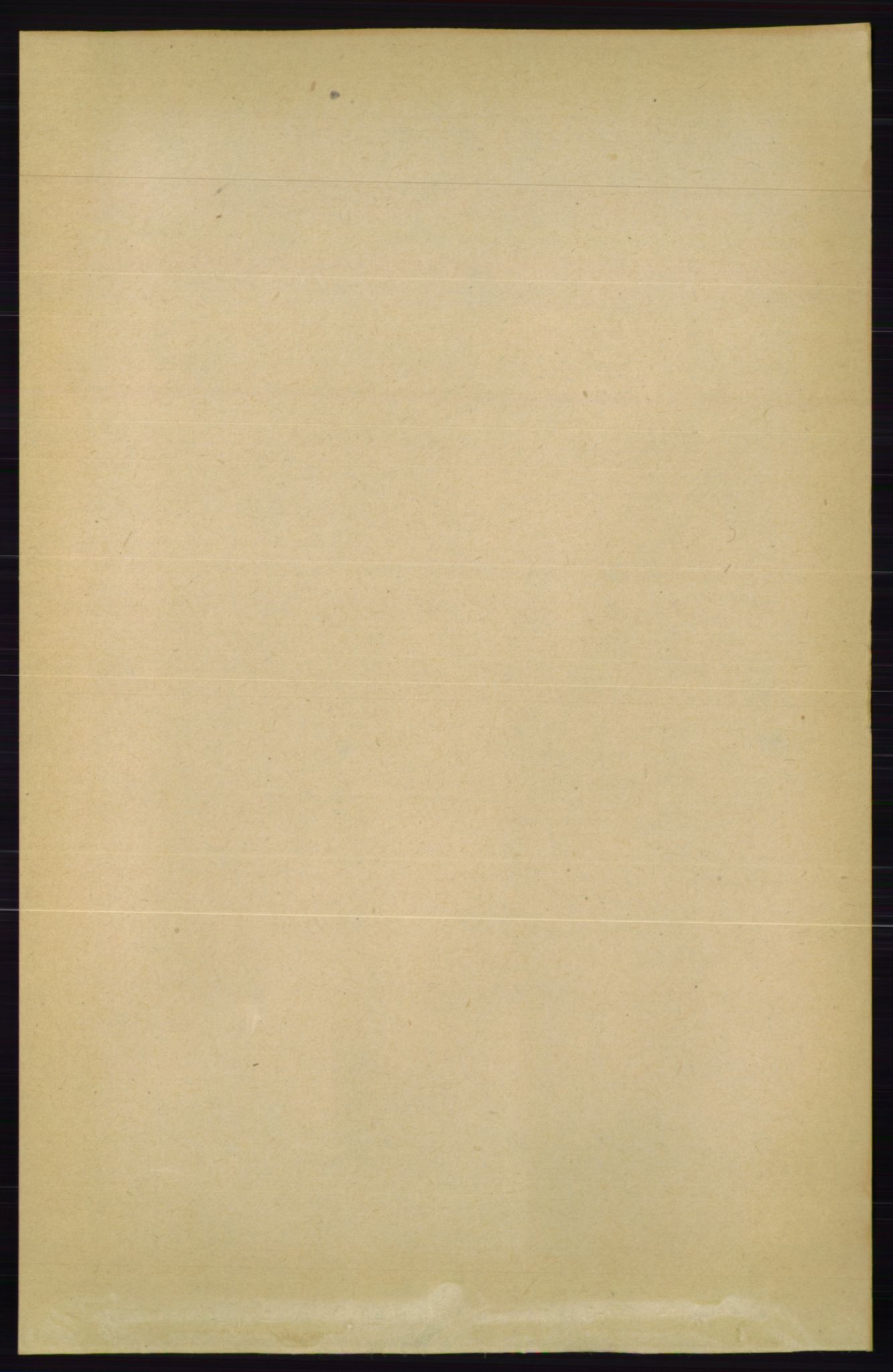 RA, 1891 census for 0828 Seljord, 1891, p. 2206