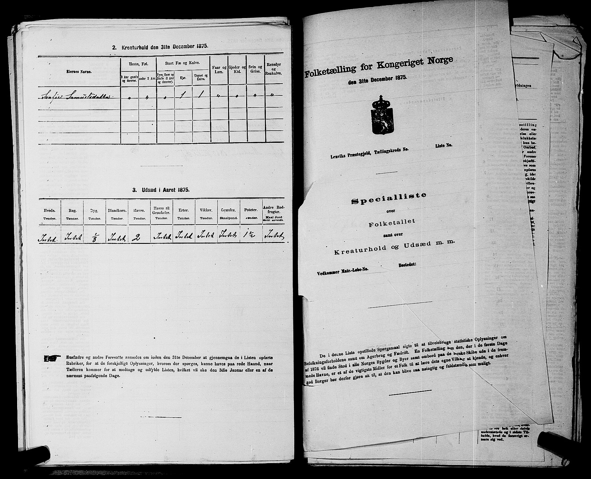 RA, 1875 census for 0123P Spydeberg, 1875, p. 691