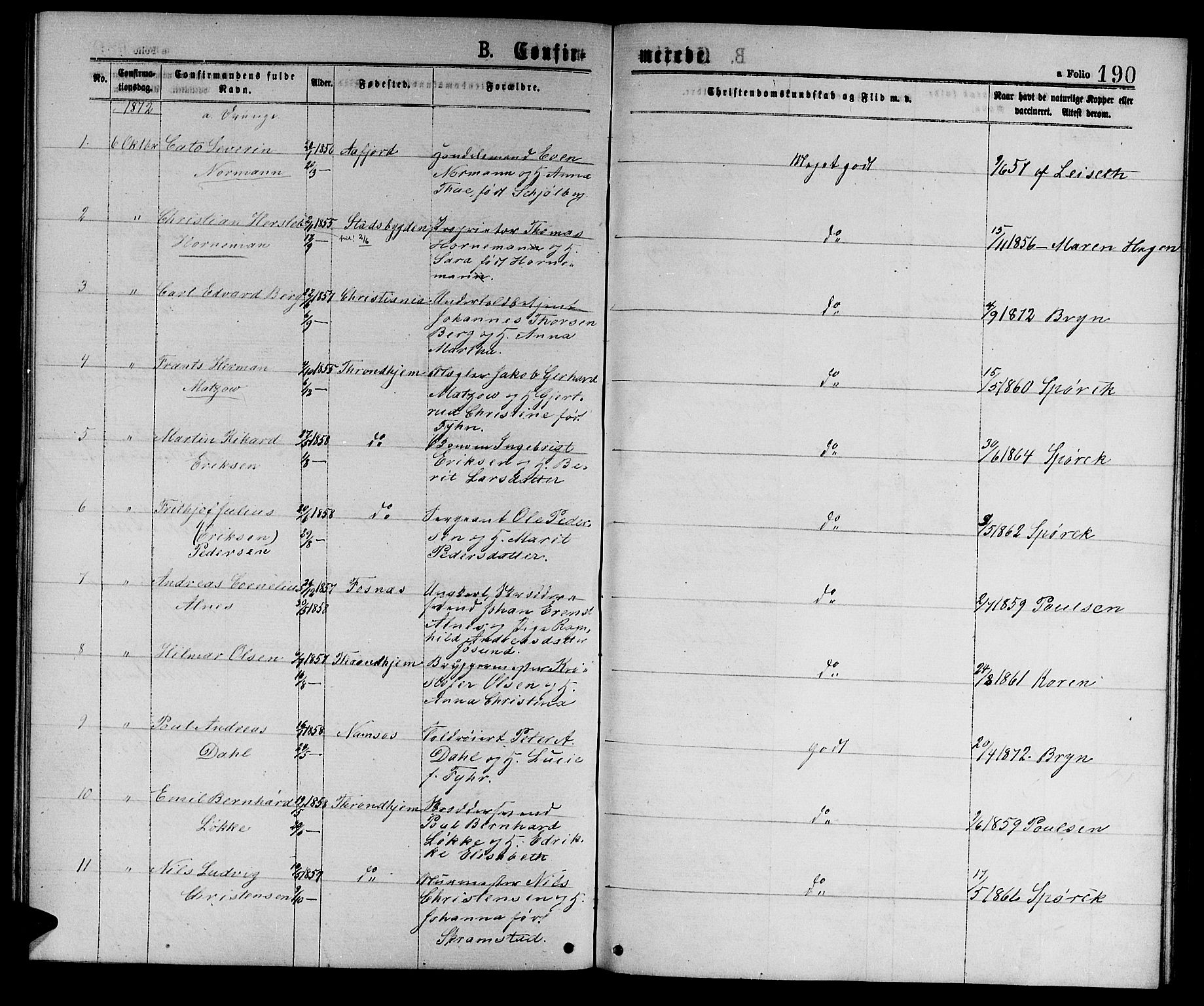 Ministerialprotokoller, klokkerbøker og fødselsregistre - Sør-Trøndelag, AV/SAT-A-1456/601/L0088: Parish register (copy) no. 601C06, 1870-1878, p. 190