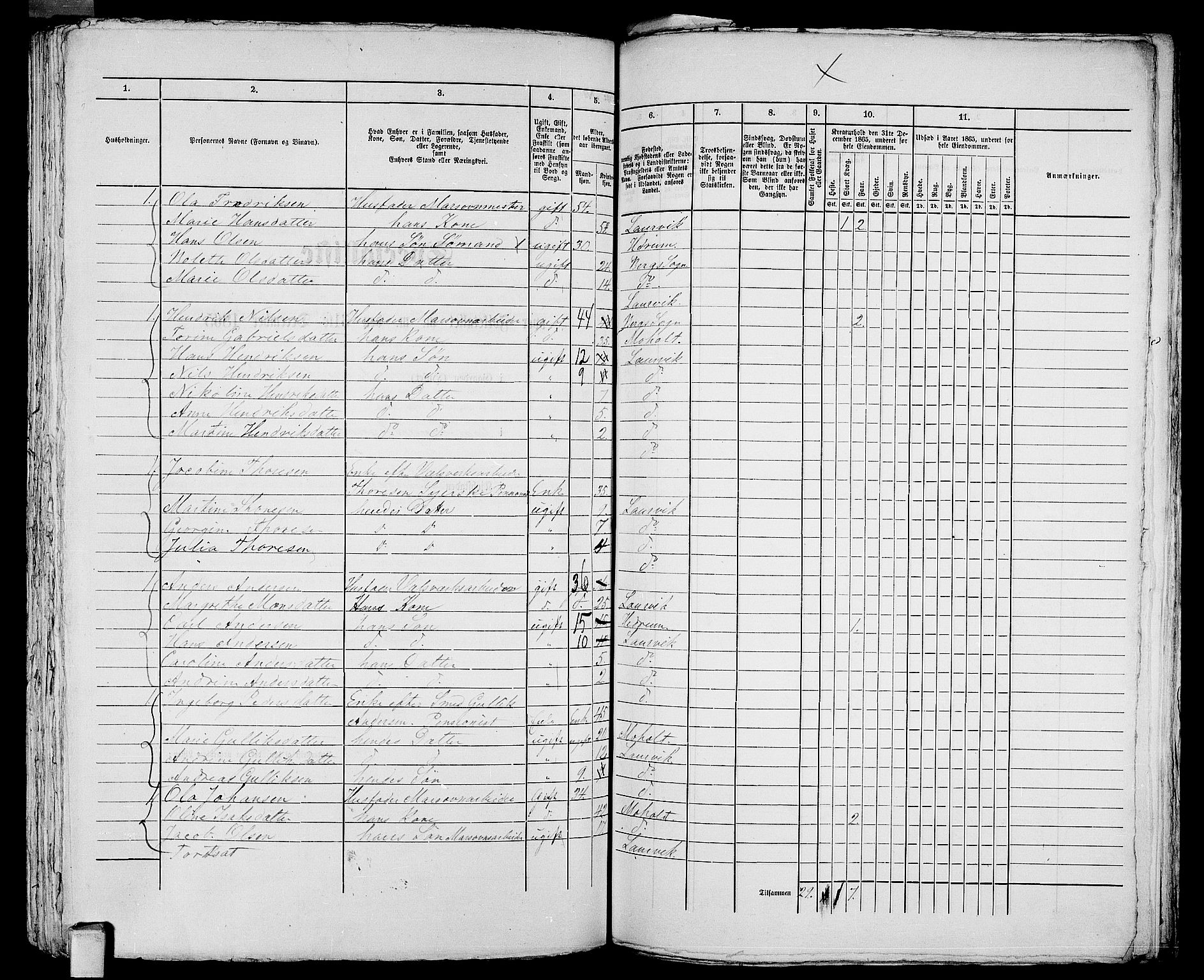 RA, 1865 census for Larvik, 1865, p. 1072