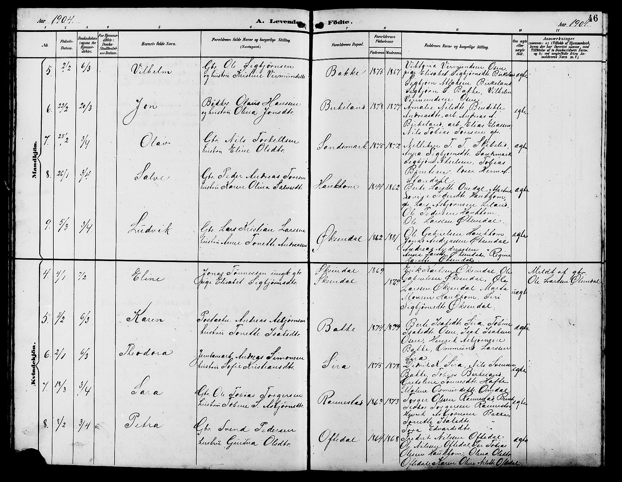 Bakke sokneprestkontor, SAK/1111-0002/F/Fb/Fba/L0003: Parish register (copy) no. B 3, 1894-1910, p. 46