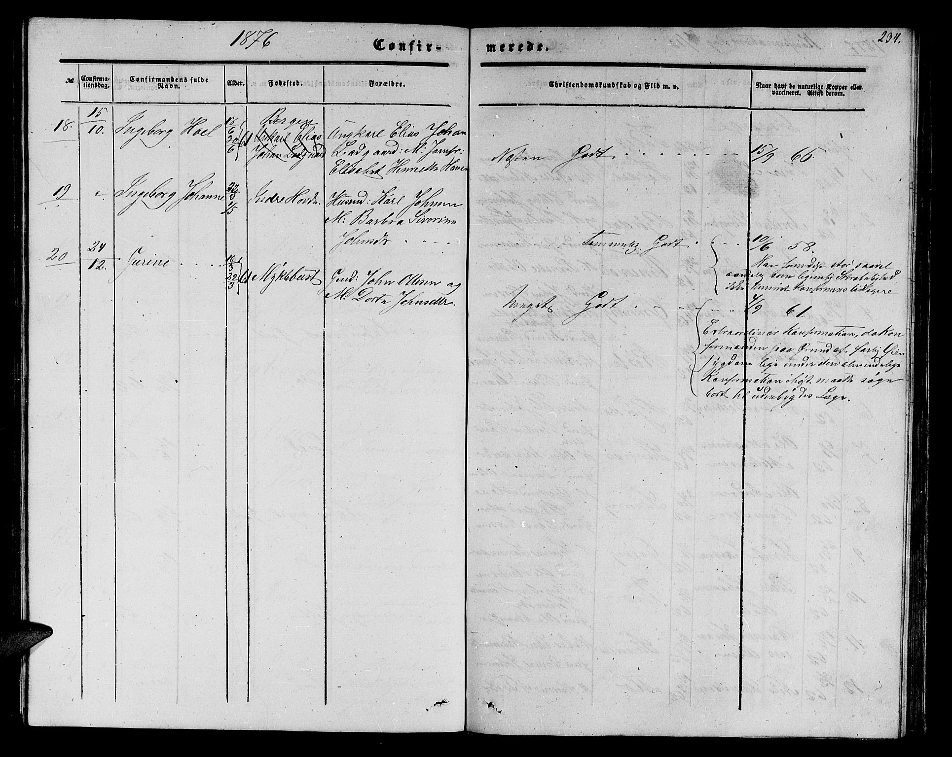 Ministerialprotokoller, klokkerbøker og fødselsregistre - Møre og Romsdal, AV/SAT-A-1454/513/L0188: Parish register (copy) no. 513C02, 1865-1882, p. 234