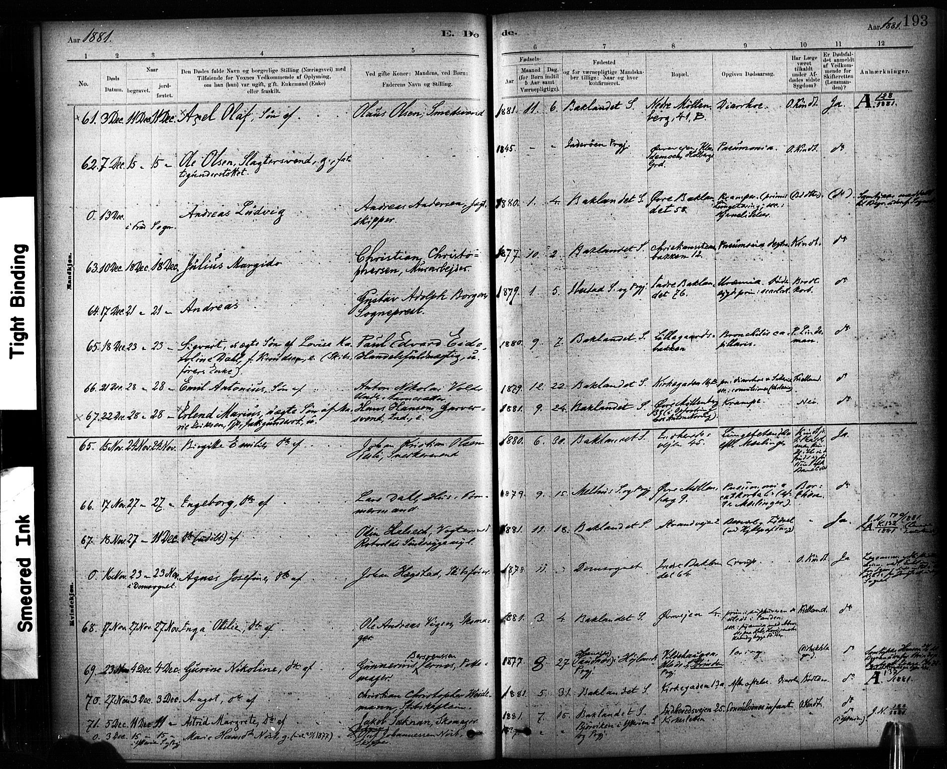 Ministerialprotokoller, klokkerbøker og fødselsregistre - Sør-Trøndelag, SAT/A-1456/604/L0189: Parish register (official) no. 604A10, 1878-1892, p. 193