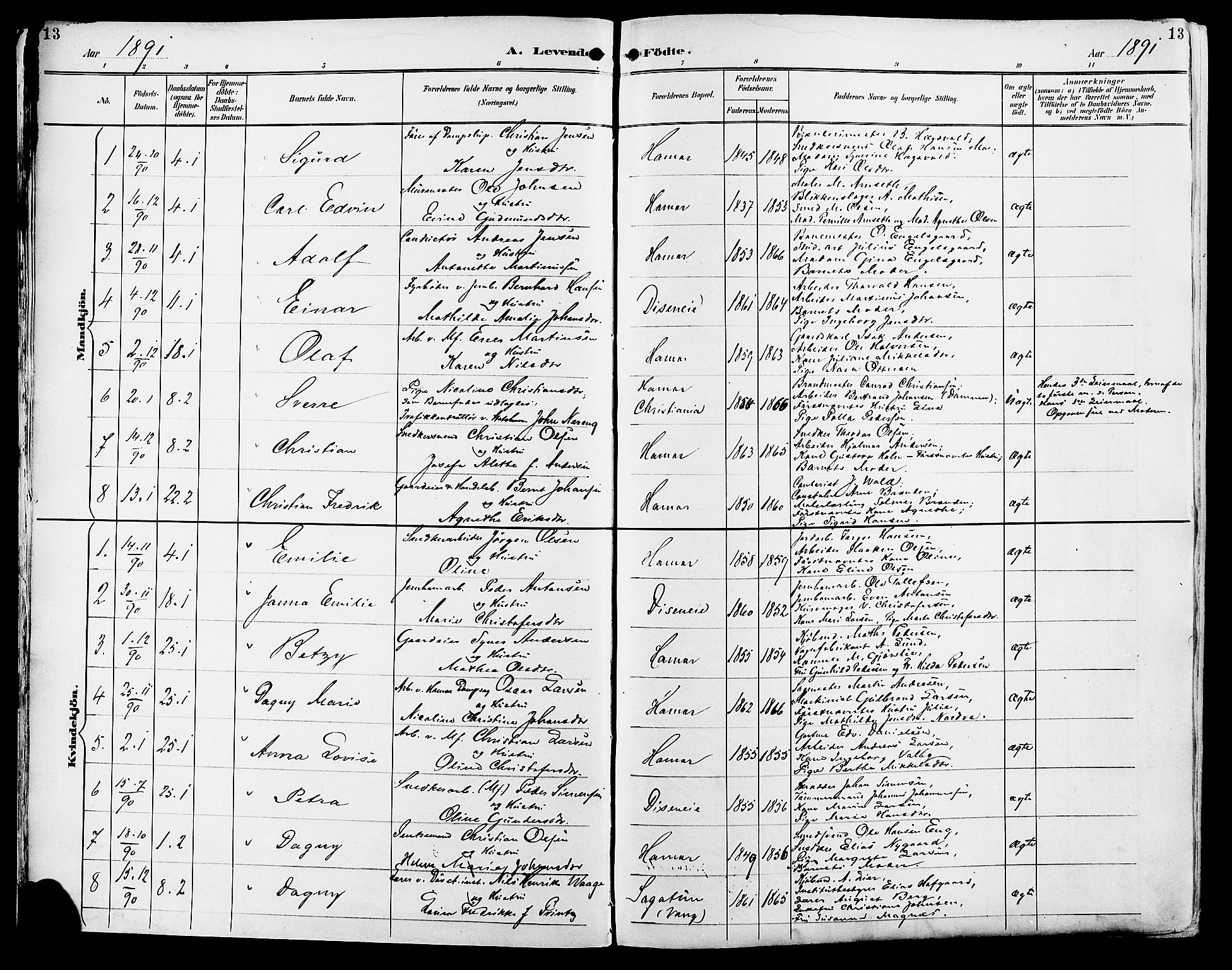Vang prestekontor, Hedmark, SAH/PREST-008/H/Ha/Haa/L0017: Parish register (official) no. 17, 1890-1899, p. 13