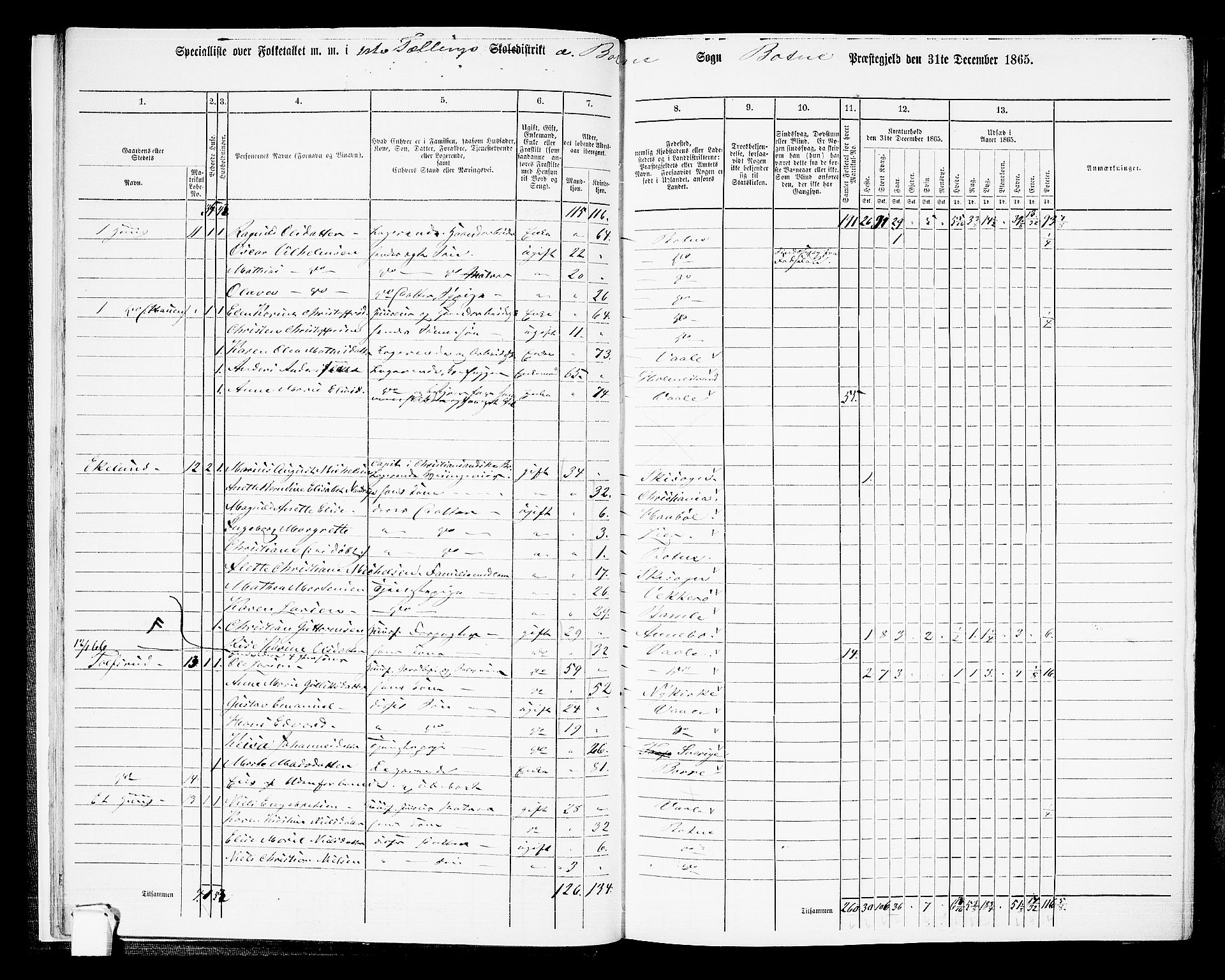 RA, 1865 census for Botne/Botne og Hillestad, 1865, p. 19