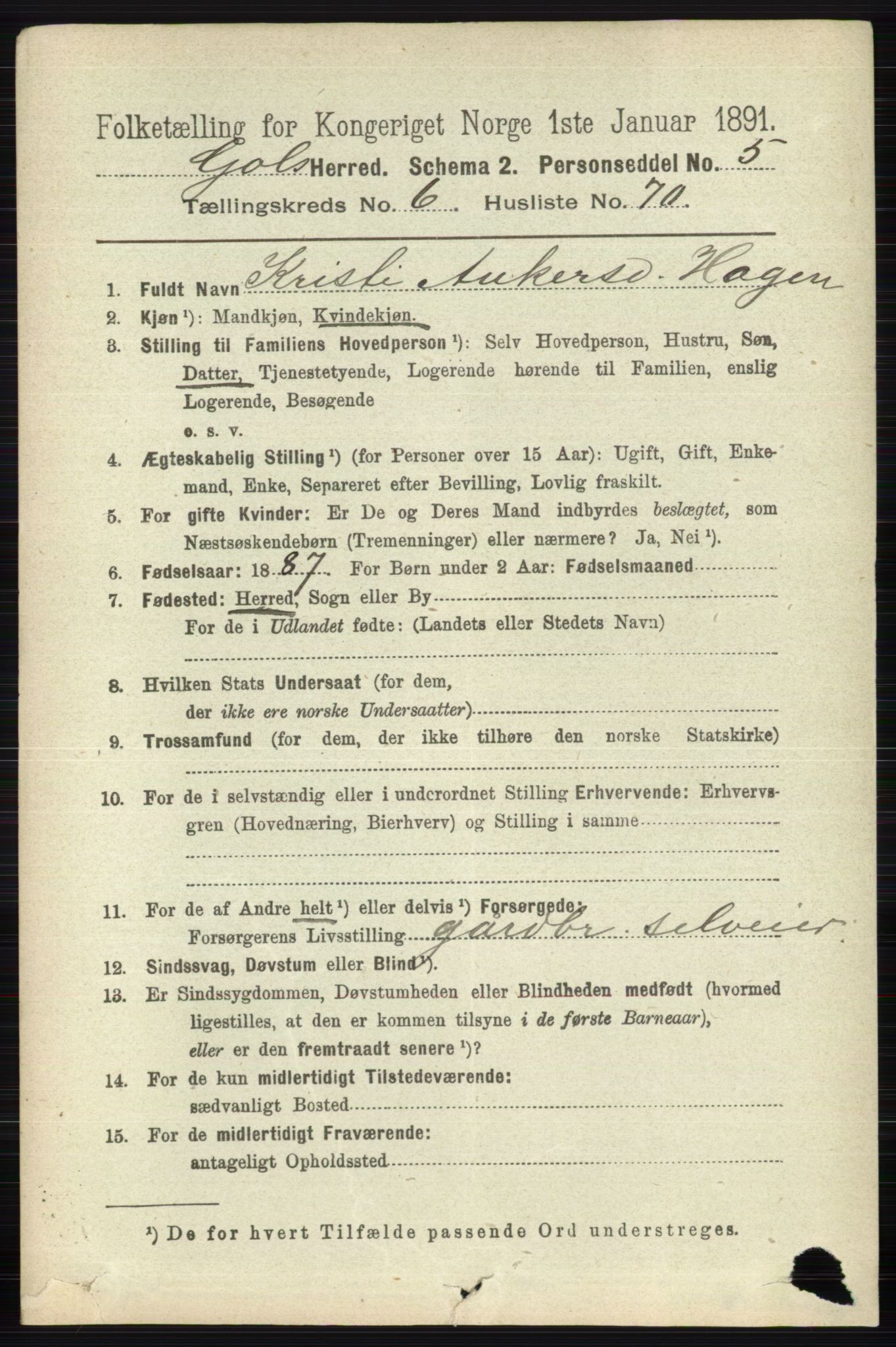 RA, 1891 census for 0617 Gol og Hemsedal, 1891, p. 2769