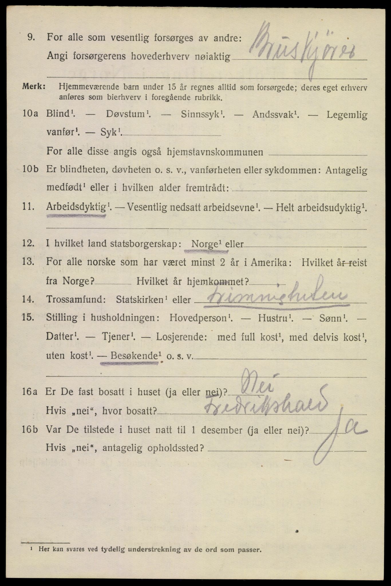 SAKO, 1920 census for Horten, 1920, p. 10388
