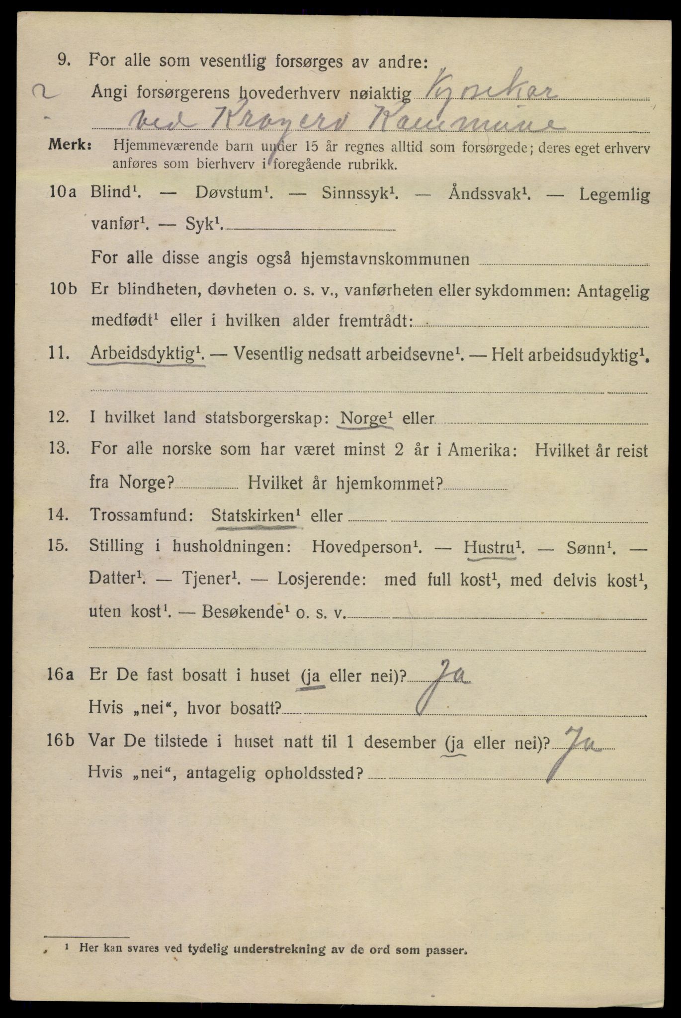 SAKO, 1920 census for Kragerø, 1920, p. 8230