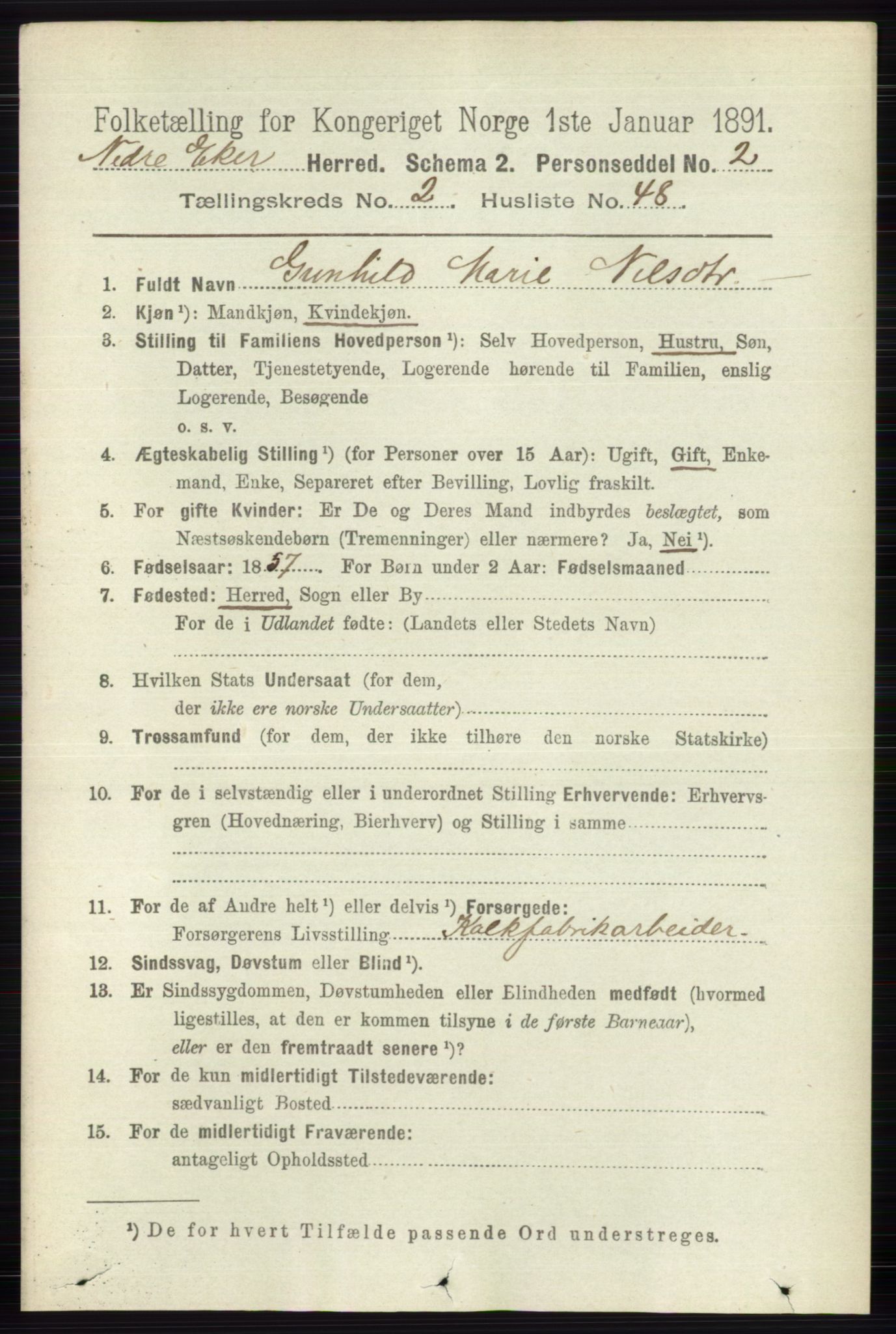 RA, 1891 census for 0625 Nedre Eiker, 1891, p. 805