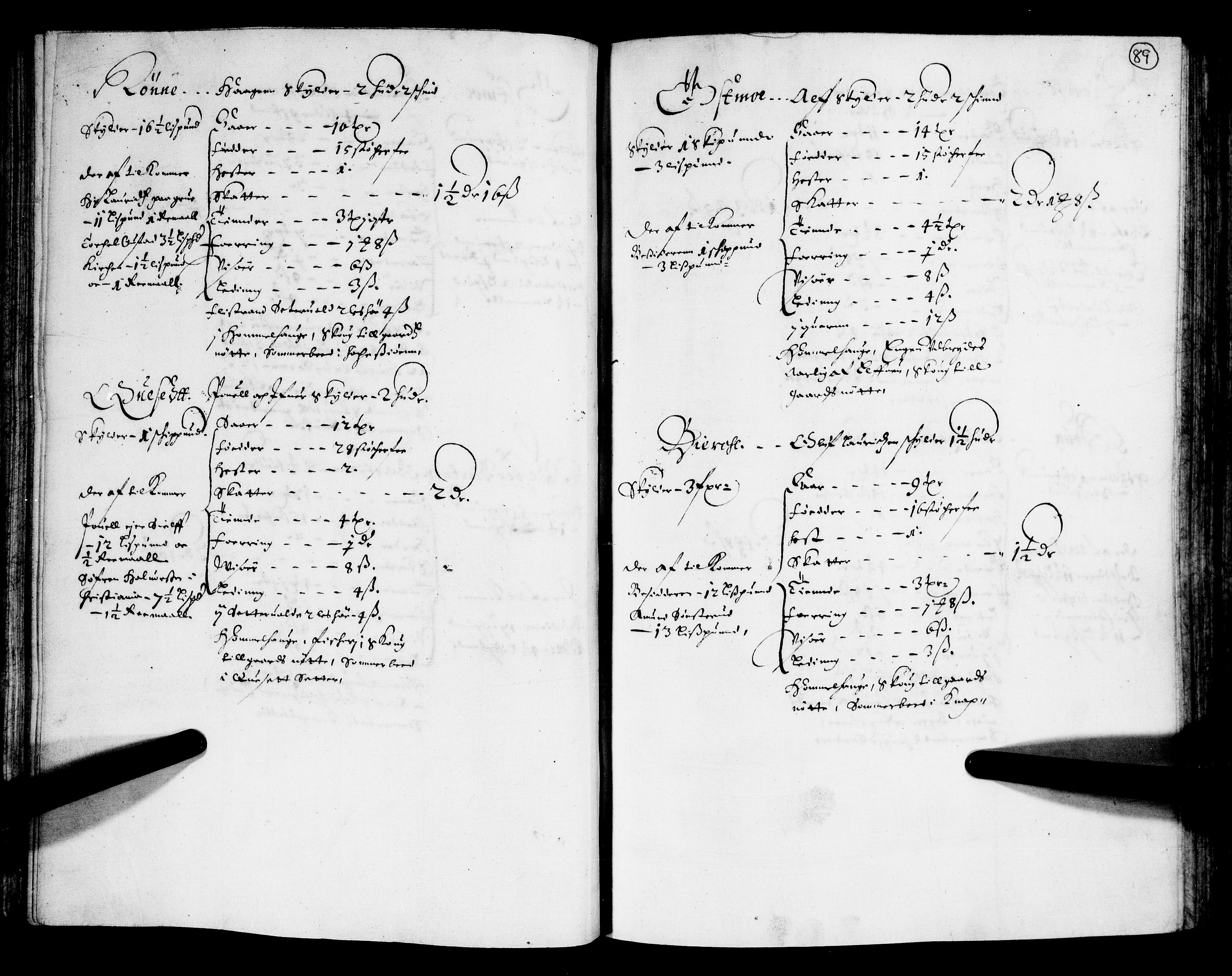 Rentekammeret inntil 1814, Realistisk ordnet avdeling, AV/RA-EA-4070/N/Nb/Nba/L0011: Odal, Solør og Østerdalen fogderi, 1667, p. 88b-89a