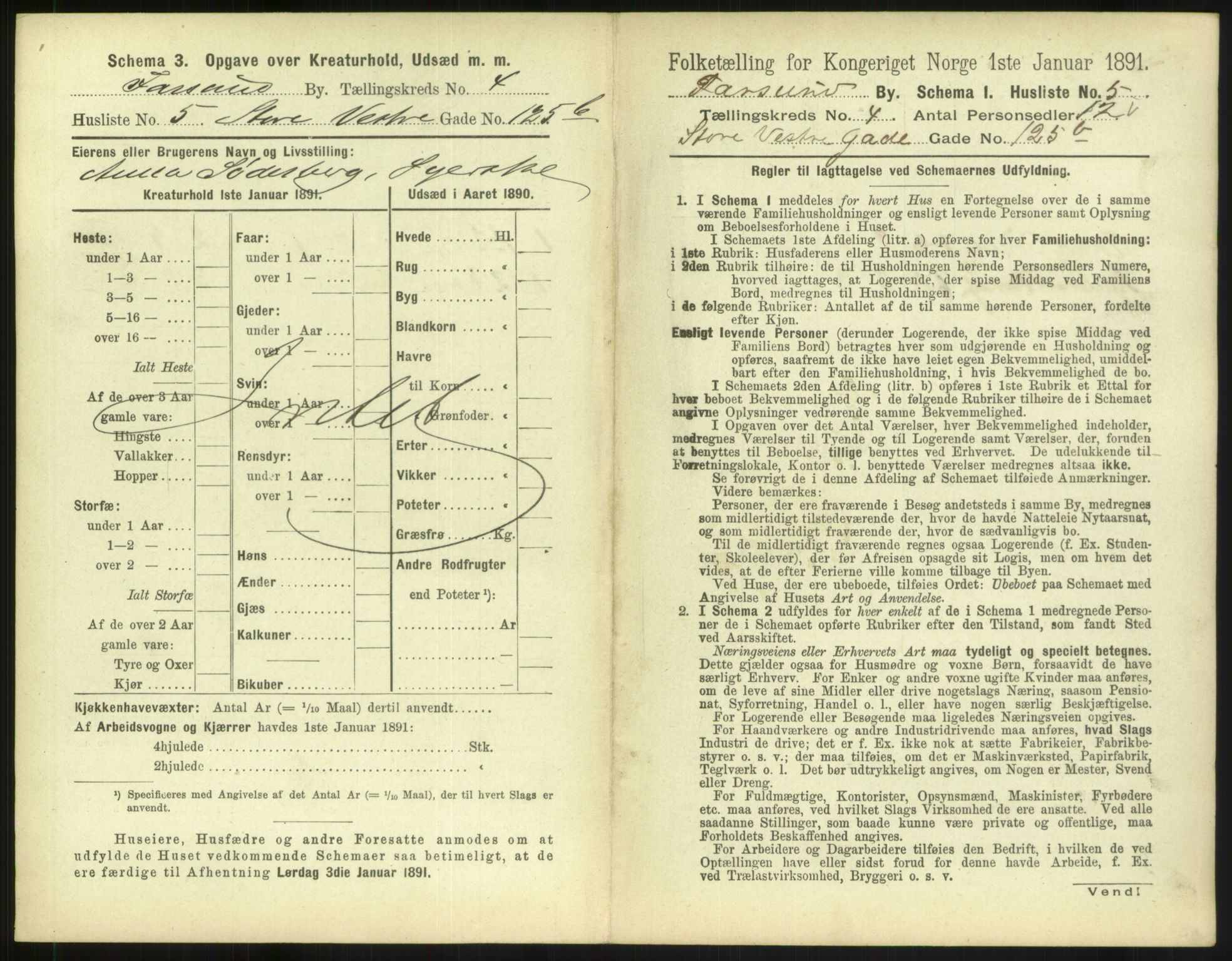 RA, 1891 census for 1003 Farsund, 1891, p. 336