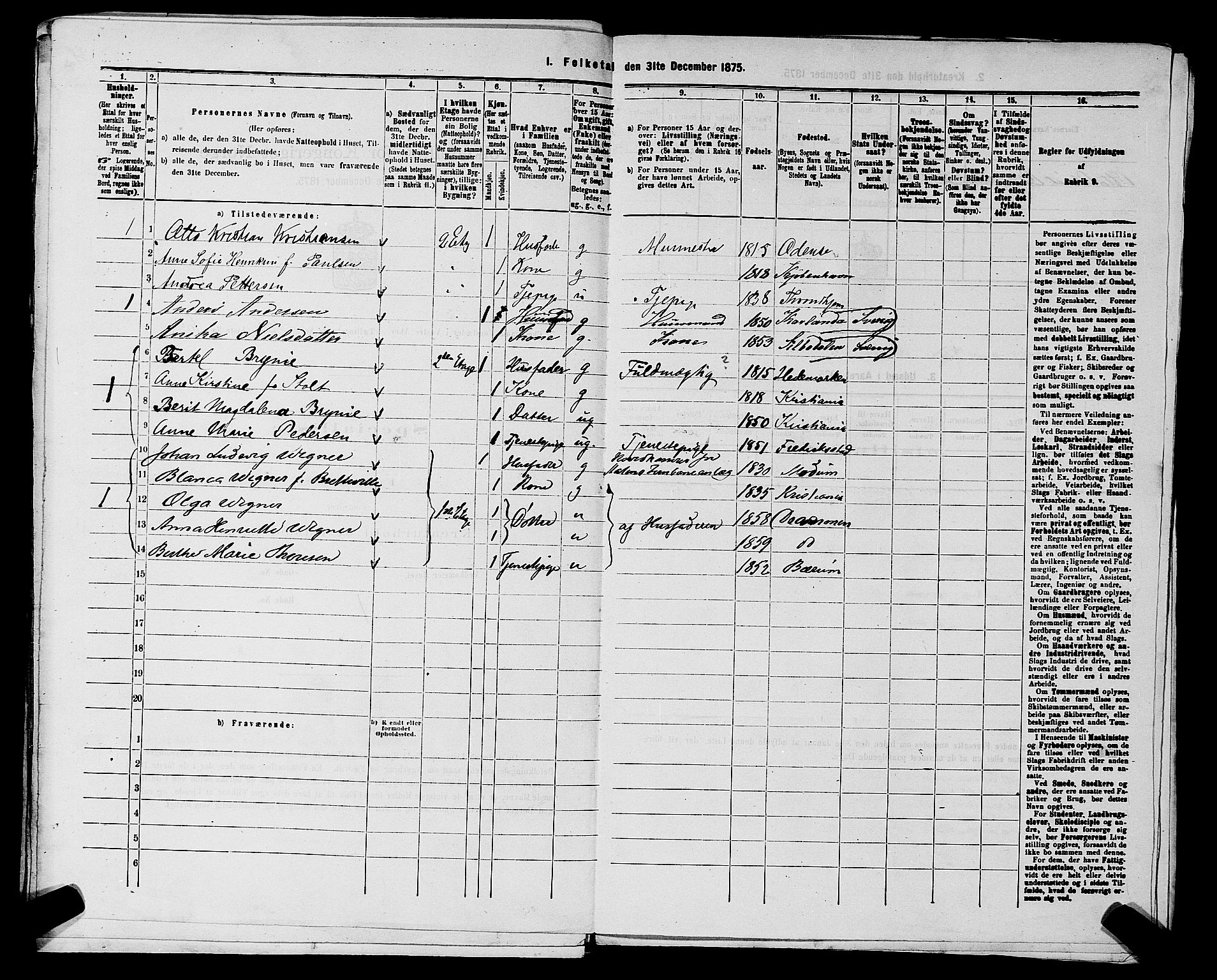 RA, 1875 census for 0218aP Vestre Aker, 1875, p. 2377