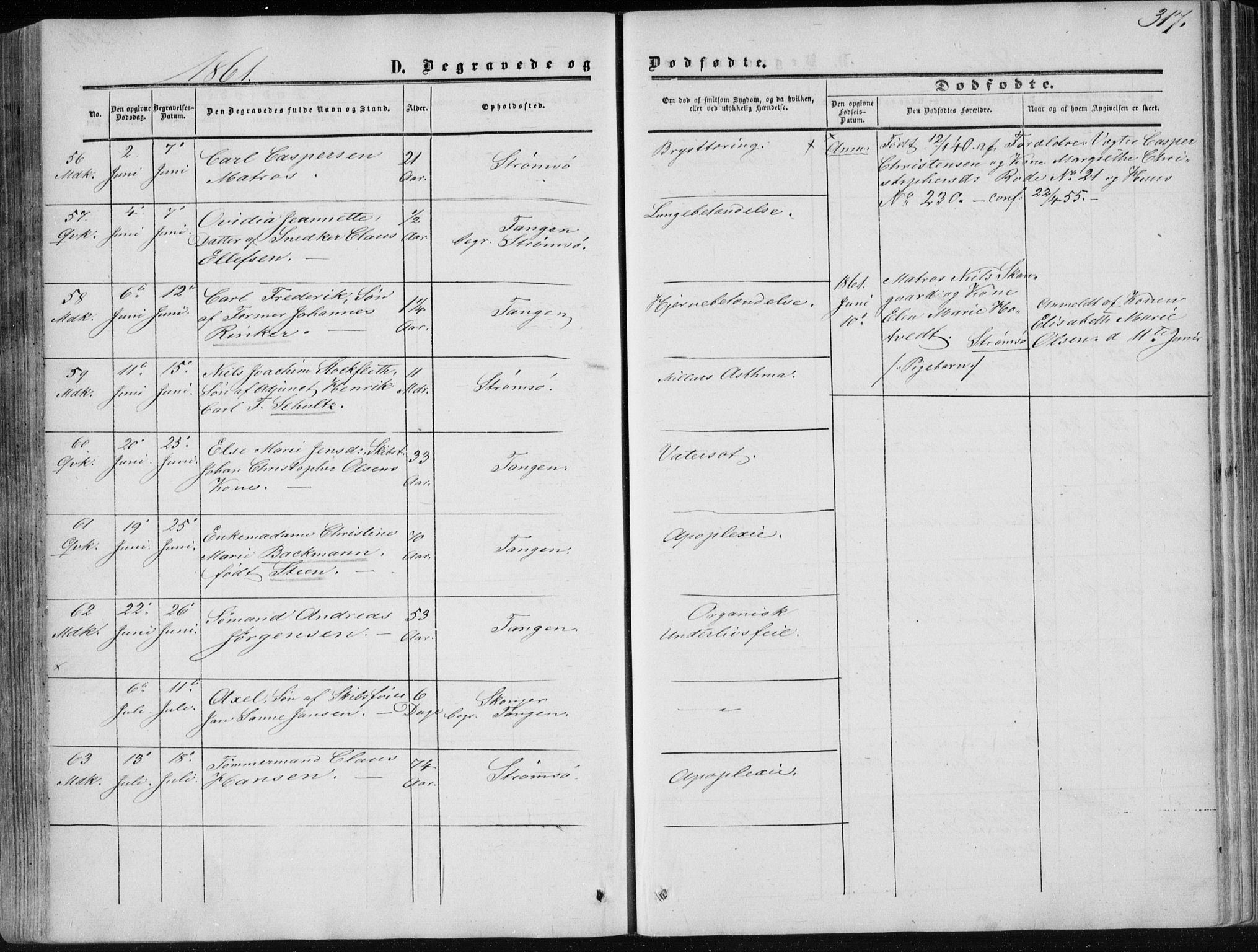 Strømsø kirkebøker, AV/SAKO-A-246/F/Fa/L0015: Parish register (official) no. I 15, 1859-1868, p. 317