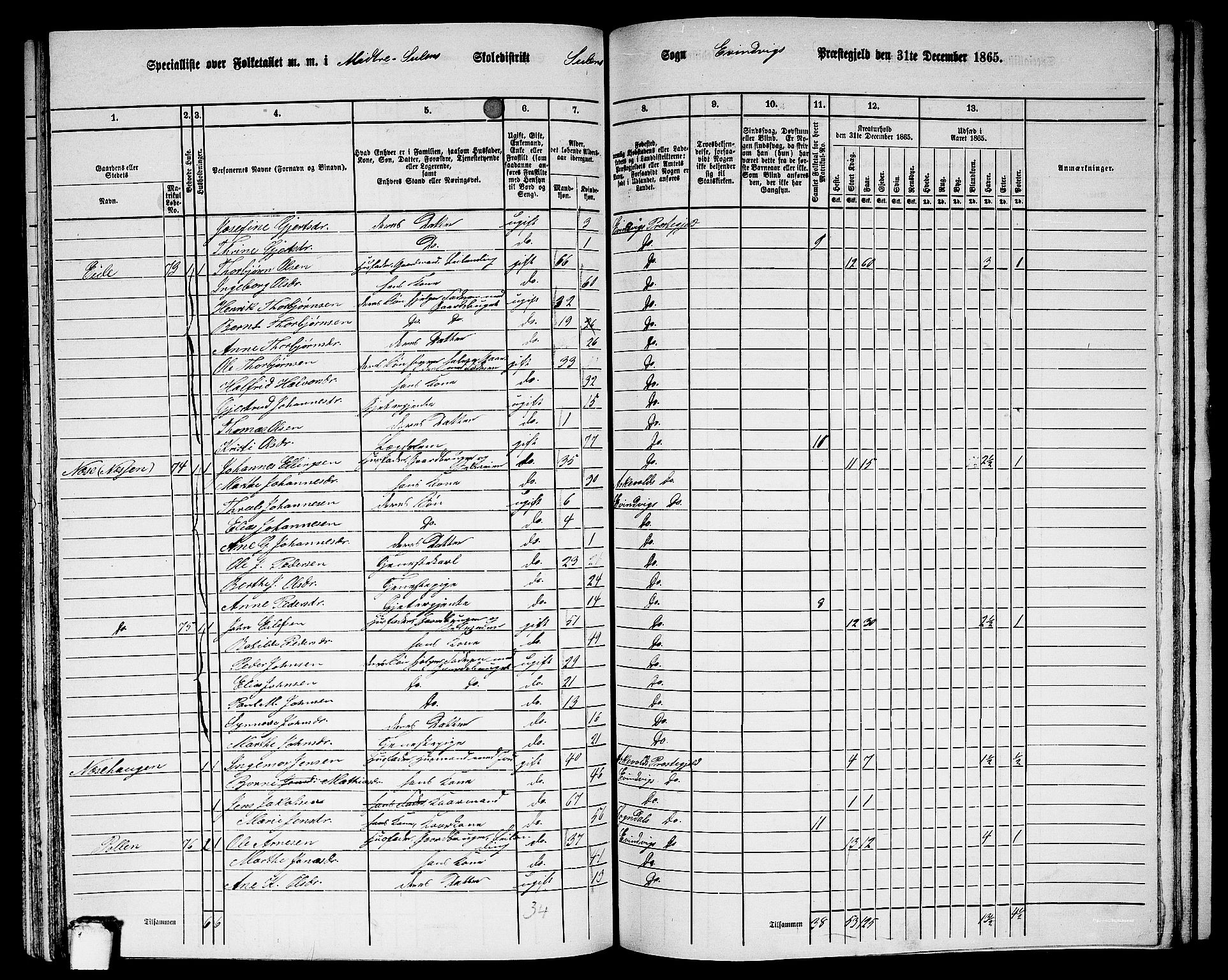 RA, 1865 census for Eivindvik, 1865, p. 174