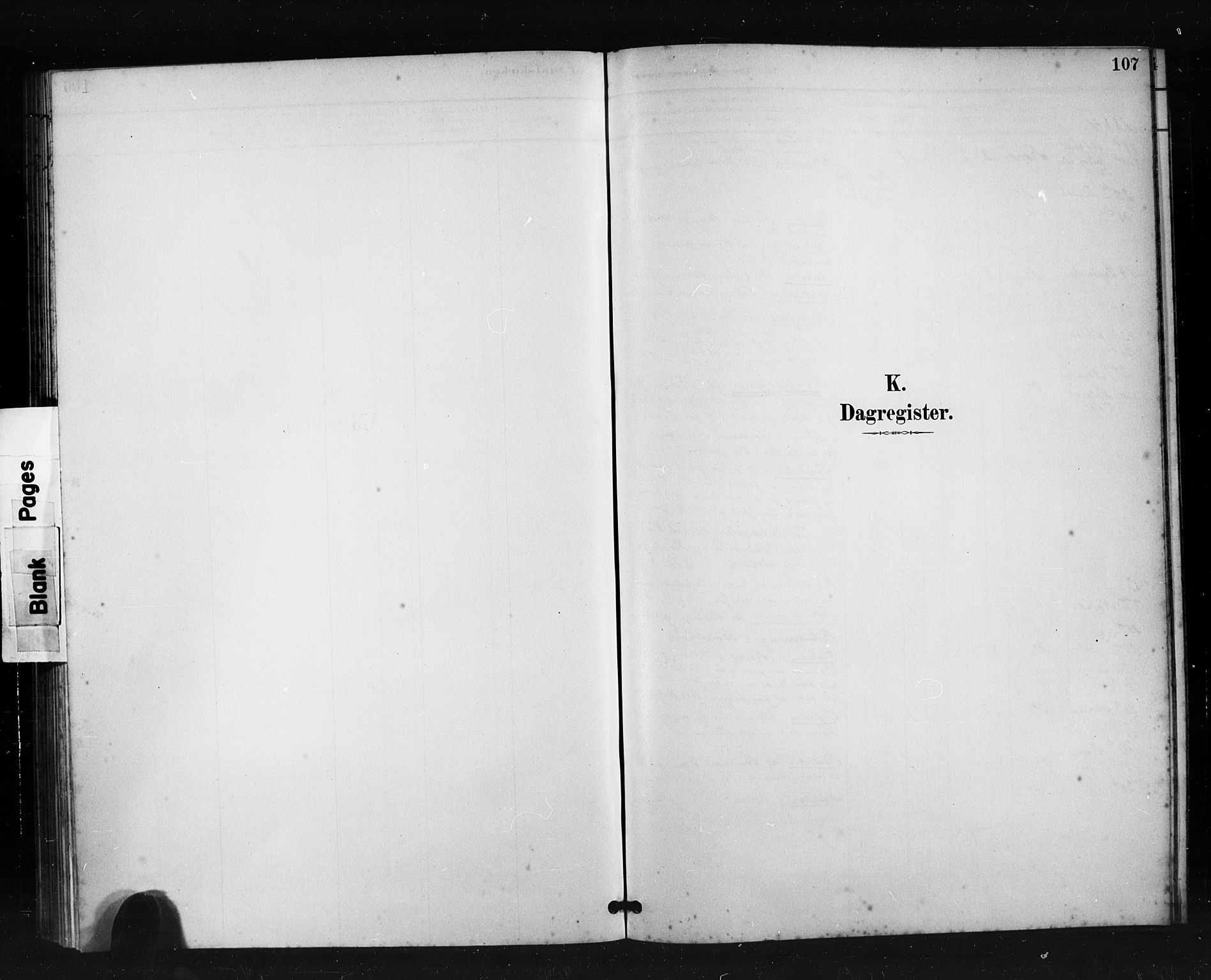 Ministerialprotokoller, klokkerbøker og fødselsregistre - Møre og Romsdal, SAT/A-1454/504/L0056: Parish register (official) no. 504A03, 1884-1904, p. 107