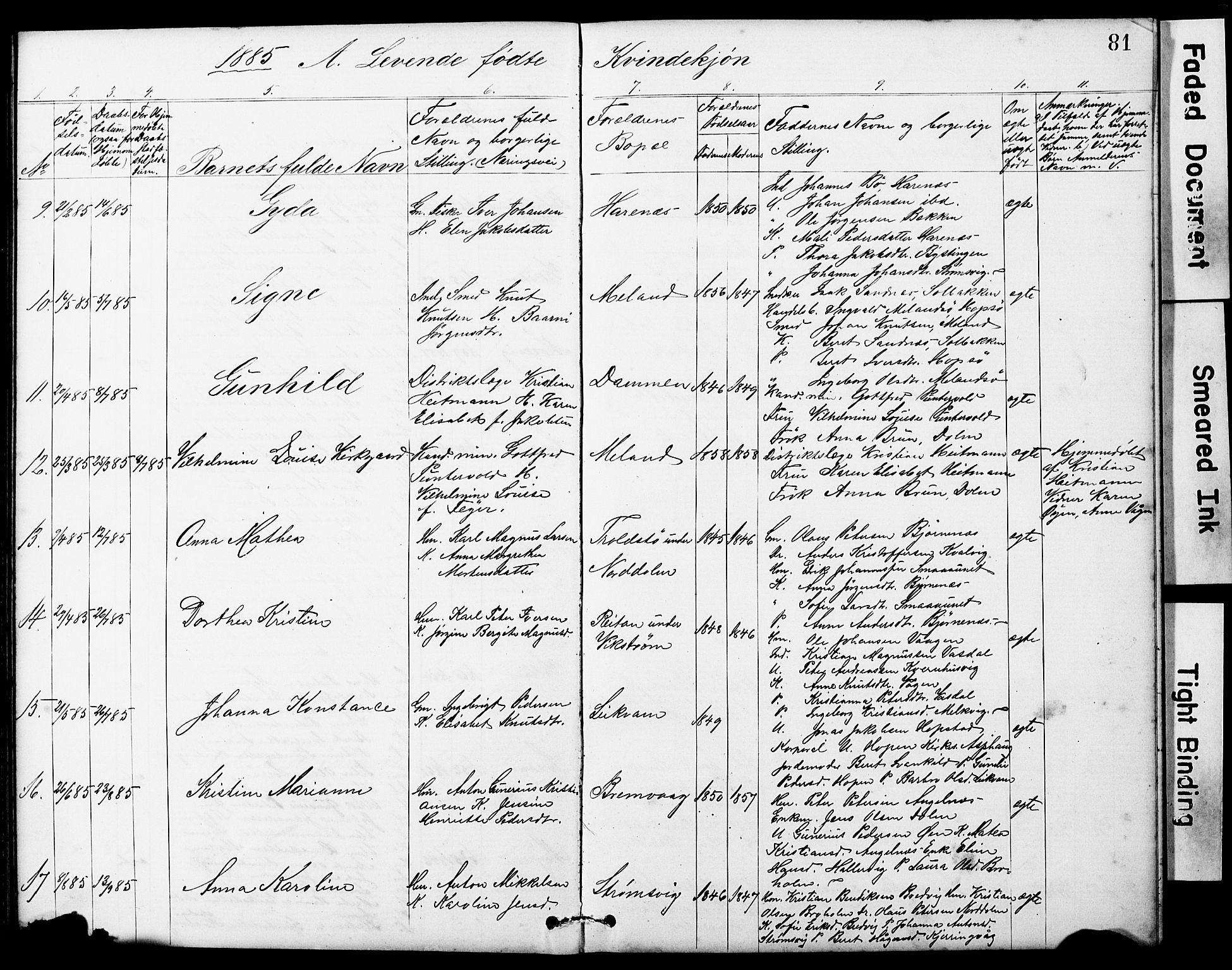Ministerialprotokoller, klokkerbøker og fødselsregistre - Sør-Trøndelag, SAT/A-1456/634/L0541: Parish register (copy) no. 634C03, 1874-1891, p. 81