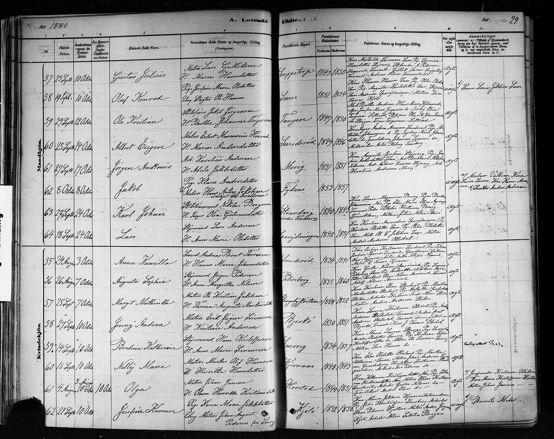 Nøtterøy kirkebøker, AV/SAKO-A-354/F/Fa/L0008: Parish register (official) no. I 8, 1878-1893, p. 29