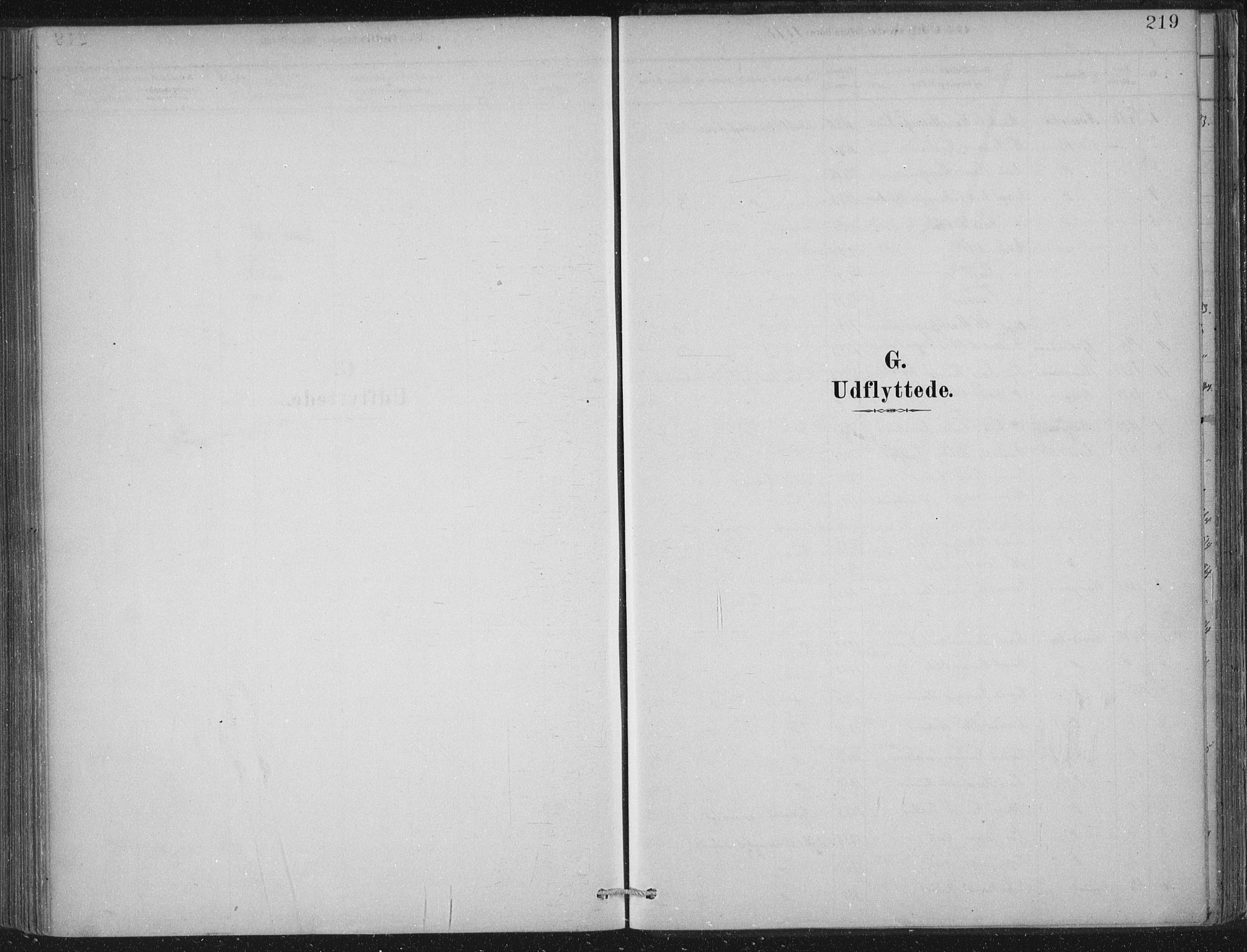 Lærdal sokneprestembete, SAB/A-81201: Parish register (official) no. D  1, 1878-1908, p. 219