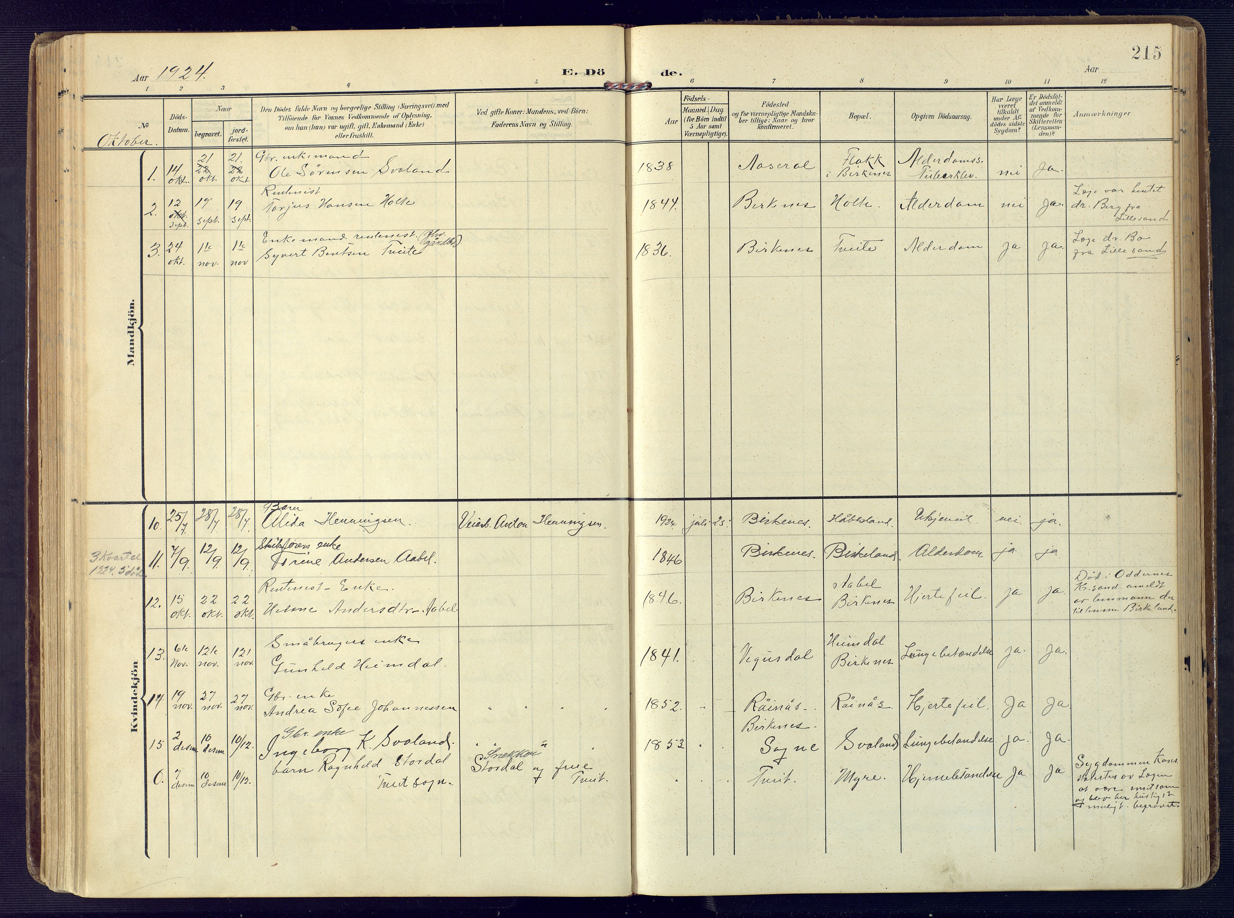 Birkenes sokneprestkontor, SAK/1111-0004/F/Fa/L0006: Parish register (official) no. A 6, 1908-1932, p. 215