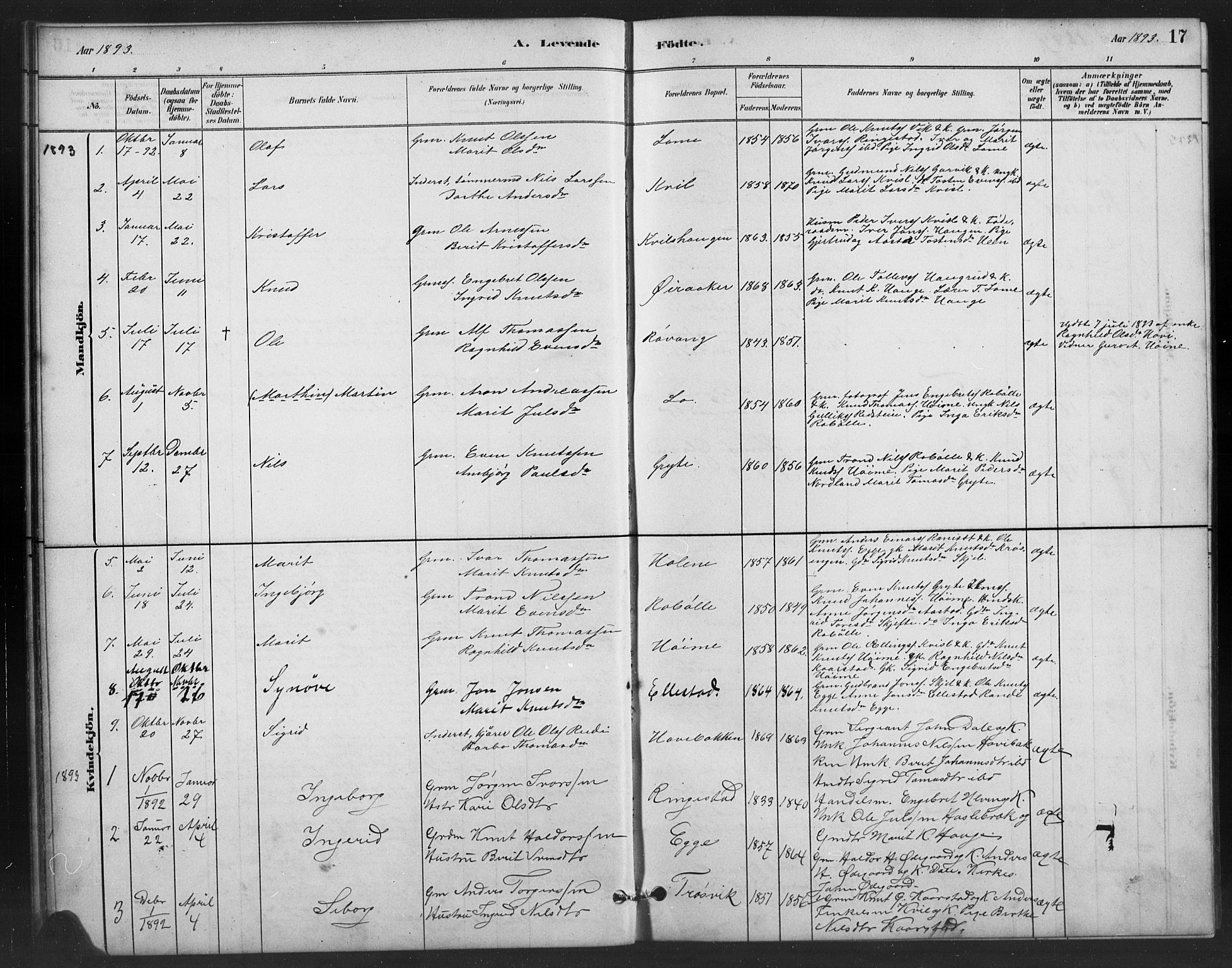 Vestre Slidre prestekontor, SAH/PREST-136/H/Ha/Hab/L0006: Parish register (copy) no. 6, 1881-1915, p. 17
