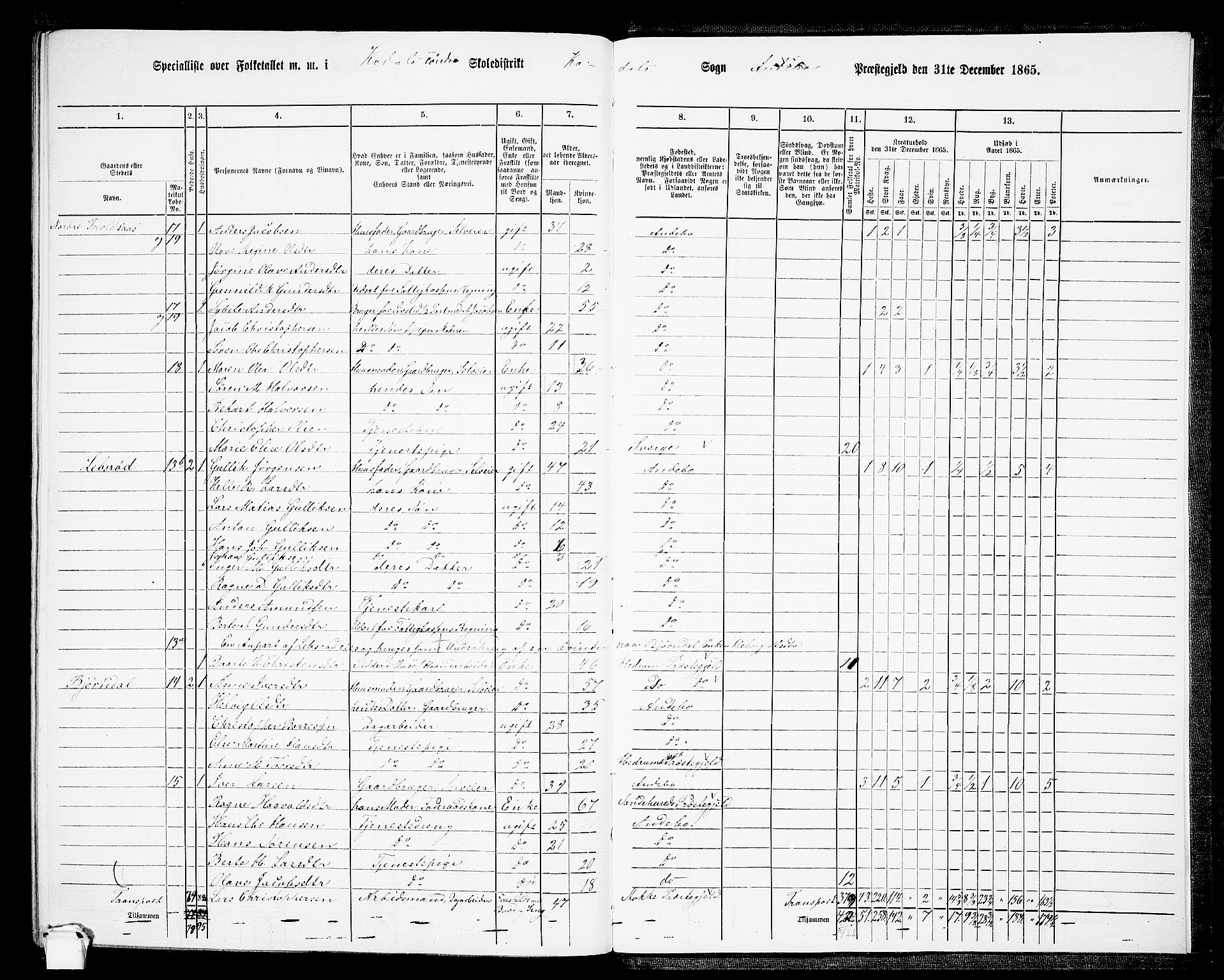 RA, 1865 census for Andebu, 1865, p. 111