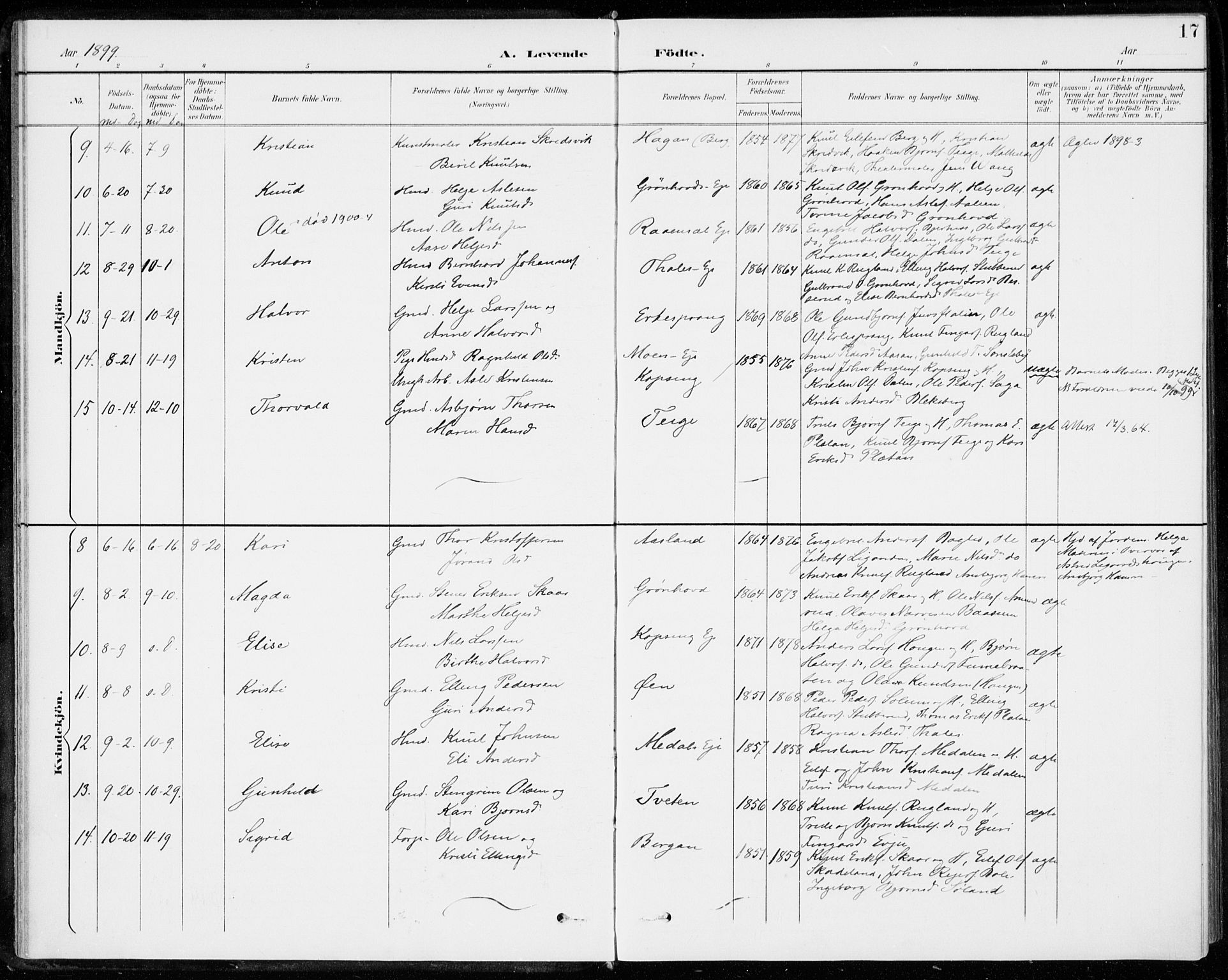 Sigdal kirkebøker, AV/SAKO-A-245/F/Fc/L0002: Parish register (official) no. III 2, 1894-1911, p. 17