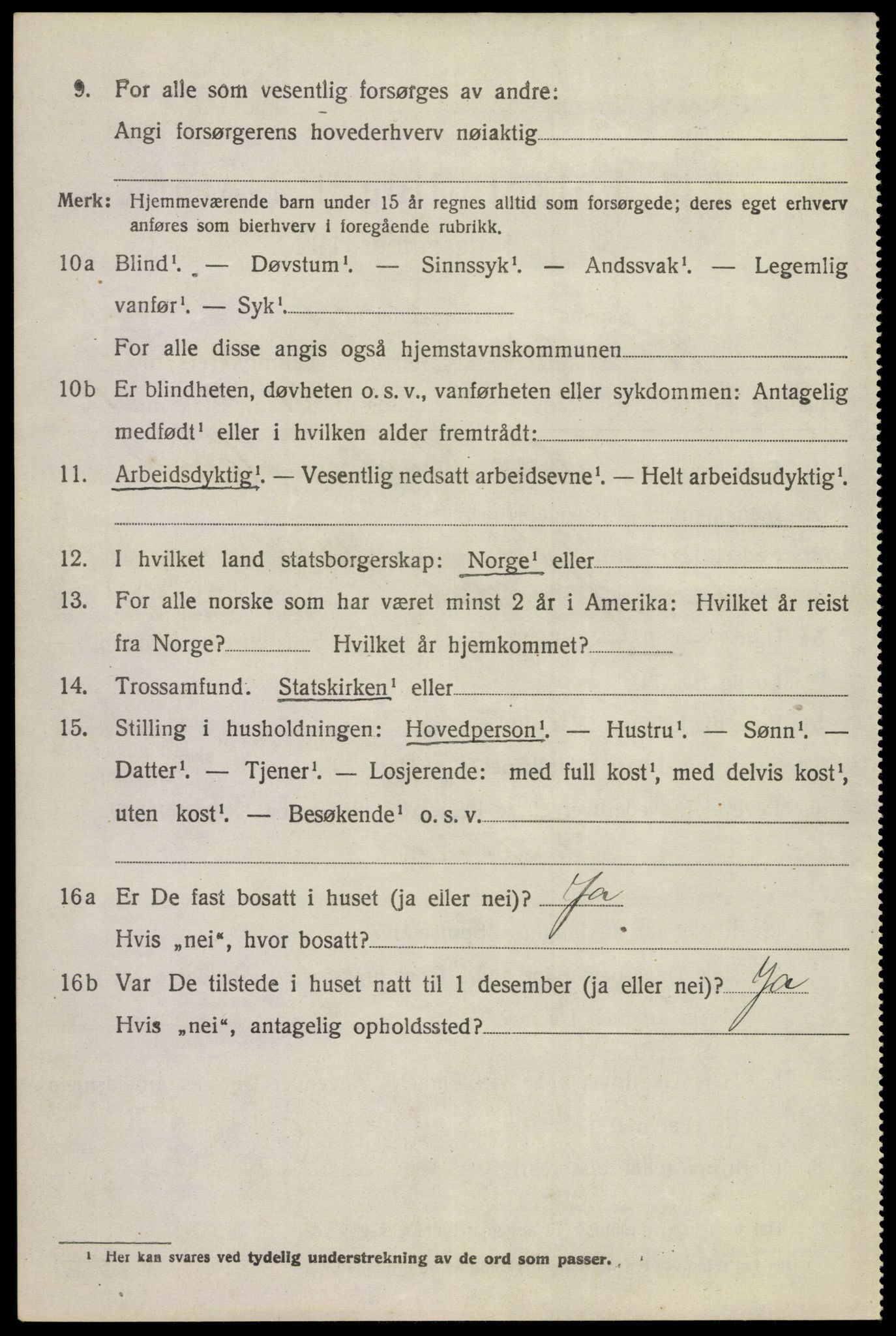 SAKO, 1920 census for Hemsedal, 1920, p. 1729