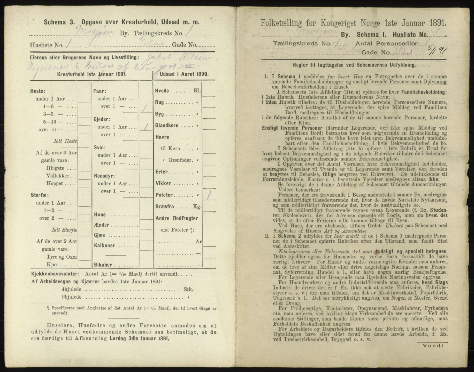 RA, 1891 census for 1802 Mosjøen, 1891, p. 11