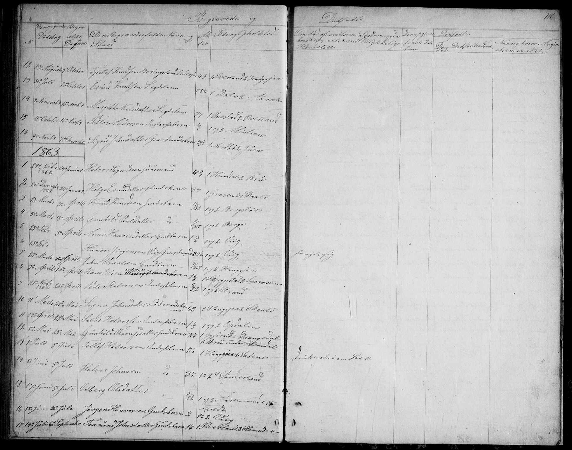 Nissedal kirkebøker, SAKO/A-288/G/Gb/L0002: Parish register (copy) no. II 2, 1863-1892, p. 110