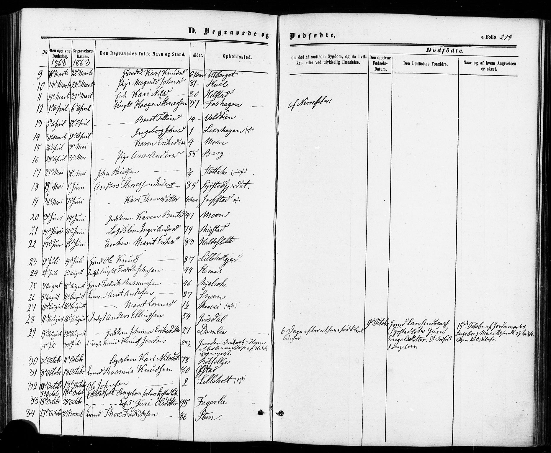 Ministerialprotokoller, klokkerbøker og fødselsregistre - Sør-Trøndelag, AV/SAT-A-1456/672/L0856: Parish register (official) no. 672A08, 1861-1881, p. 219