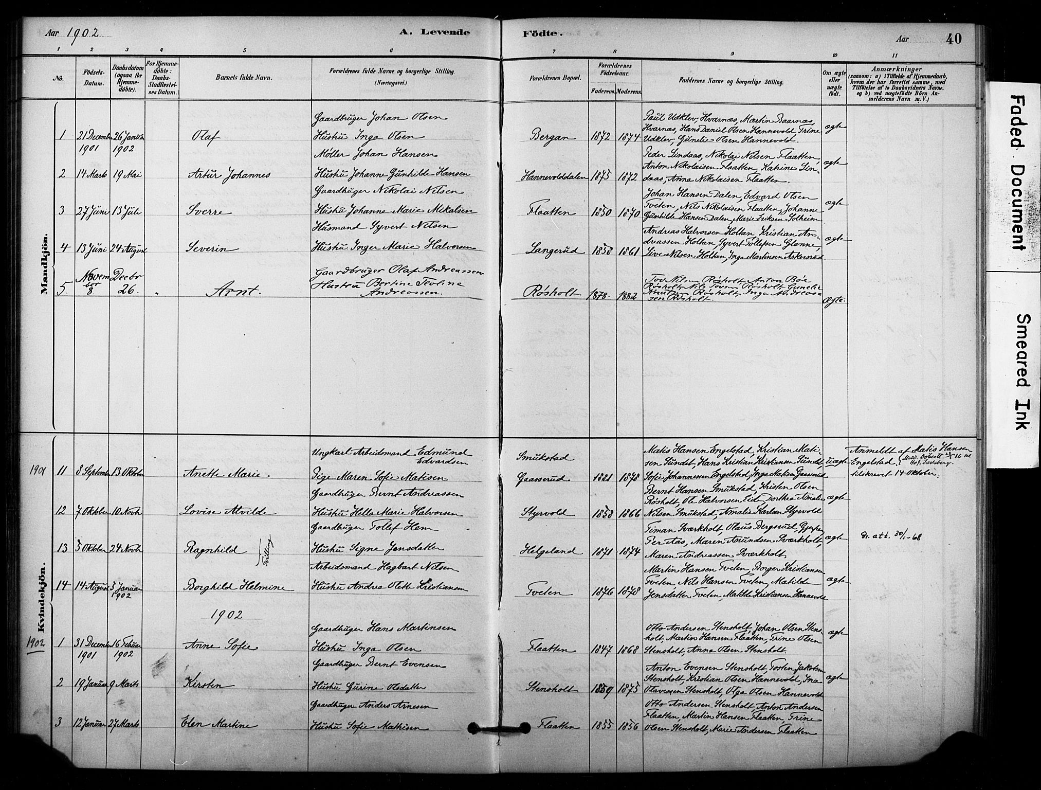 Lardal kirkebøker, AV/SAKO-A-350/F/Fd/L0001: Parish register (official) no. IV 1, 1881-1907, p. 40