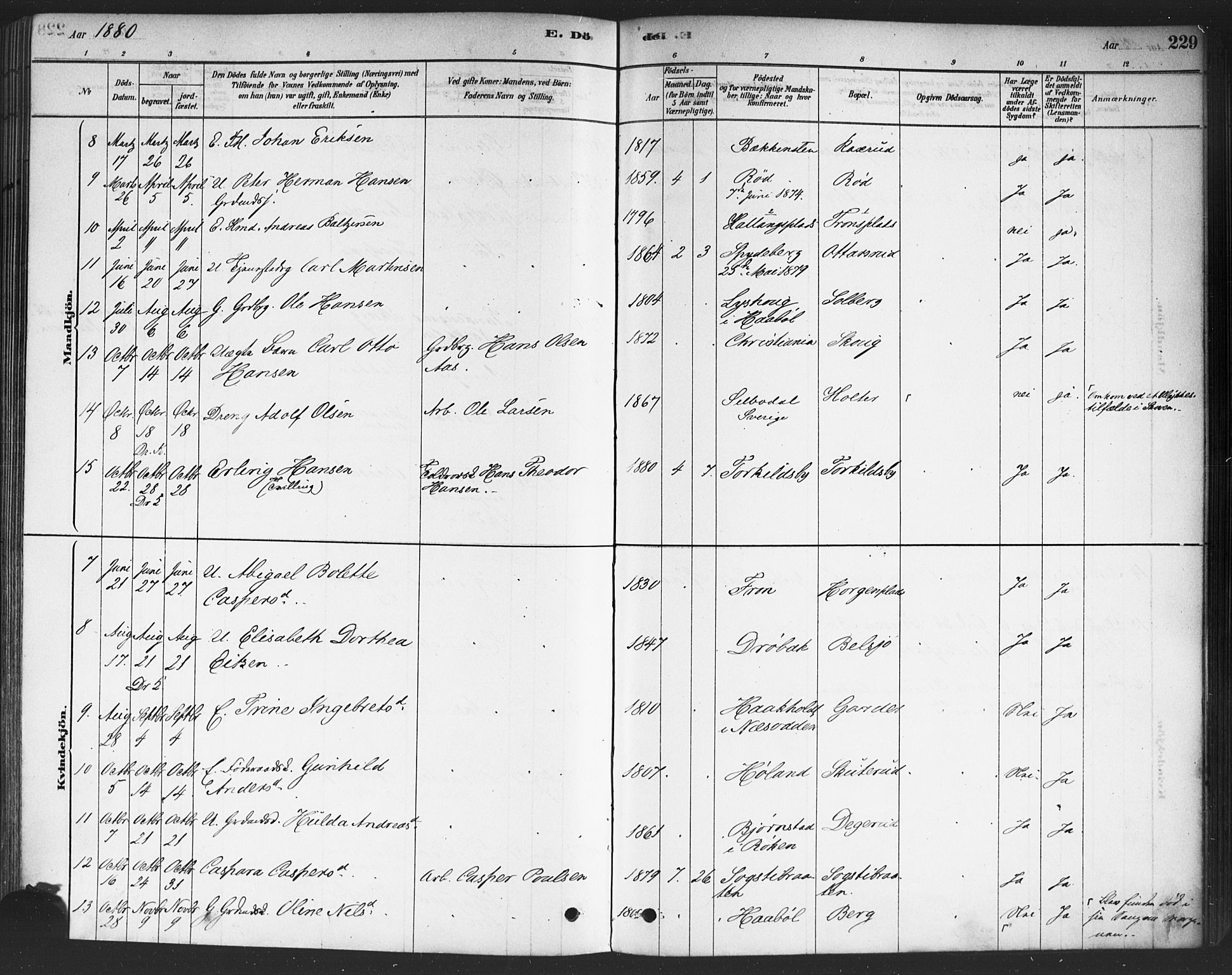 Drøbak prestekontor Kirkebøker, SAO/A-10142a/F/Fc/L0002: Parish register (official) no. III 2, 1878-1891, p. 229