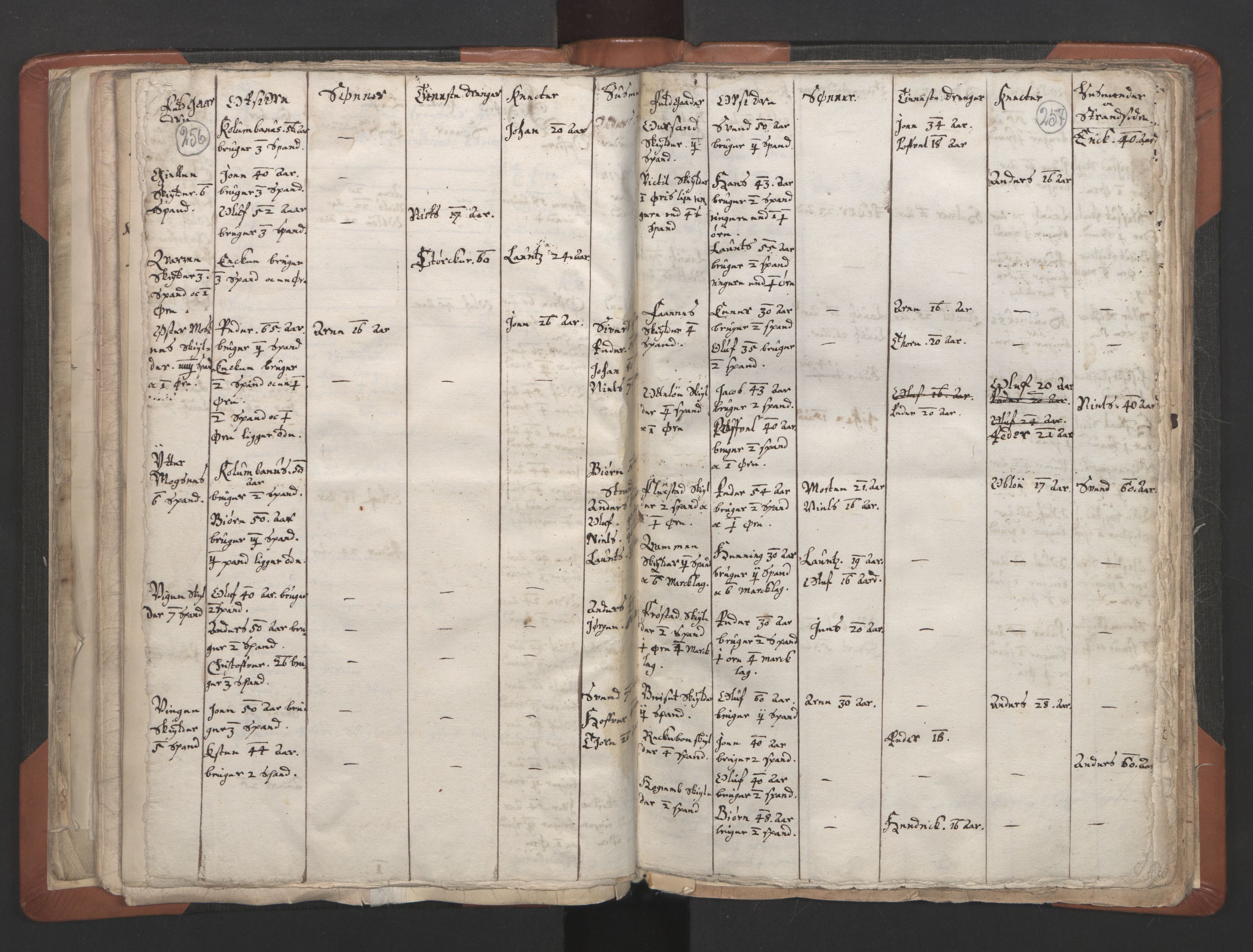 RA, Vicar's Census 1664-1666, no. 32: Innherad deanery, 1664-1666, p. 256-257