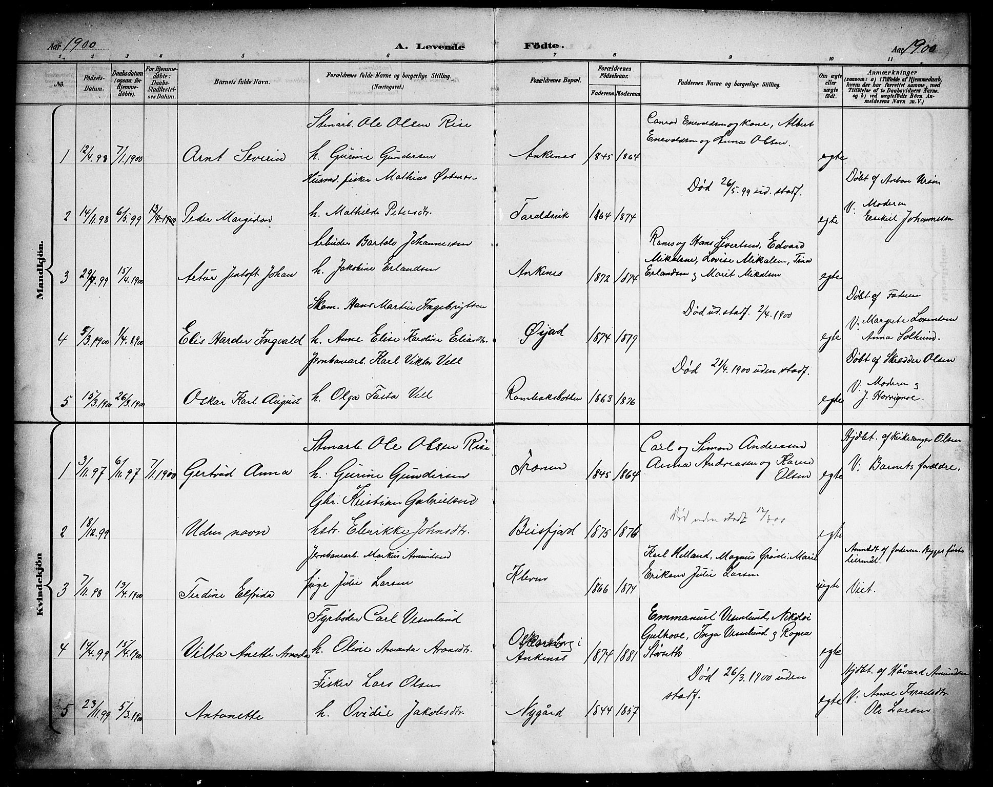 Ministerialprotokoller, klokkerbøker og fødselsregistre - Nordland, AV/SAT-A-1459/866/L0953: Parish register (copy) no. 866C02, 1900-1905