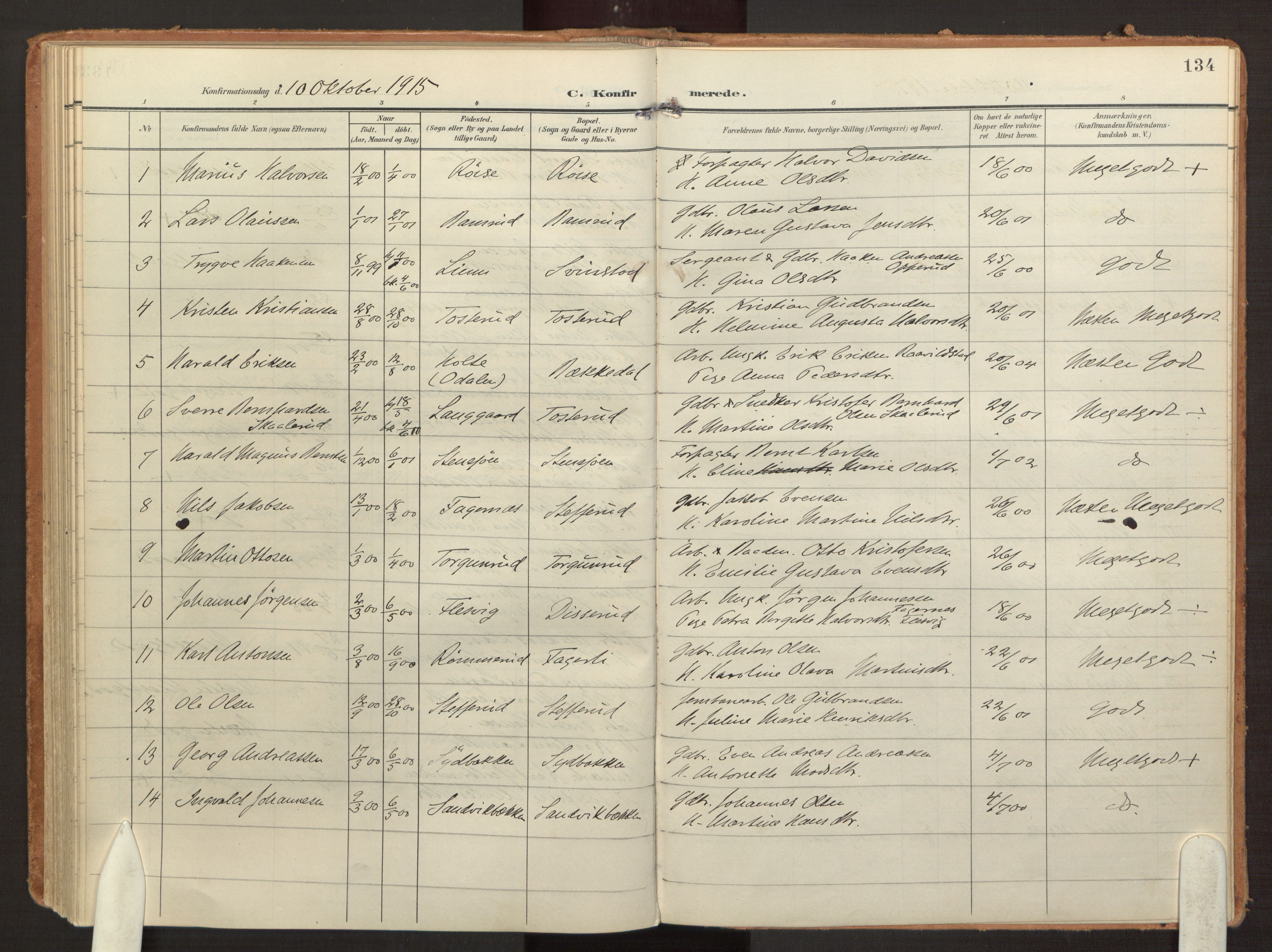 Hurdal prestekontor Kirkebøker, AV/SAO-A-10889/F/Fb/L0004: Parish register (official) no. II 4, 1902-1924, p. 134