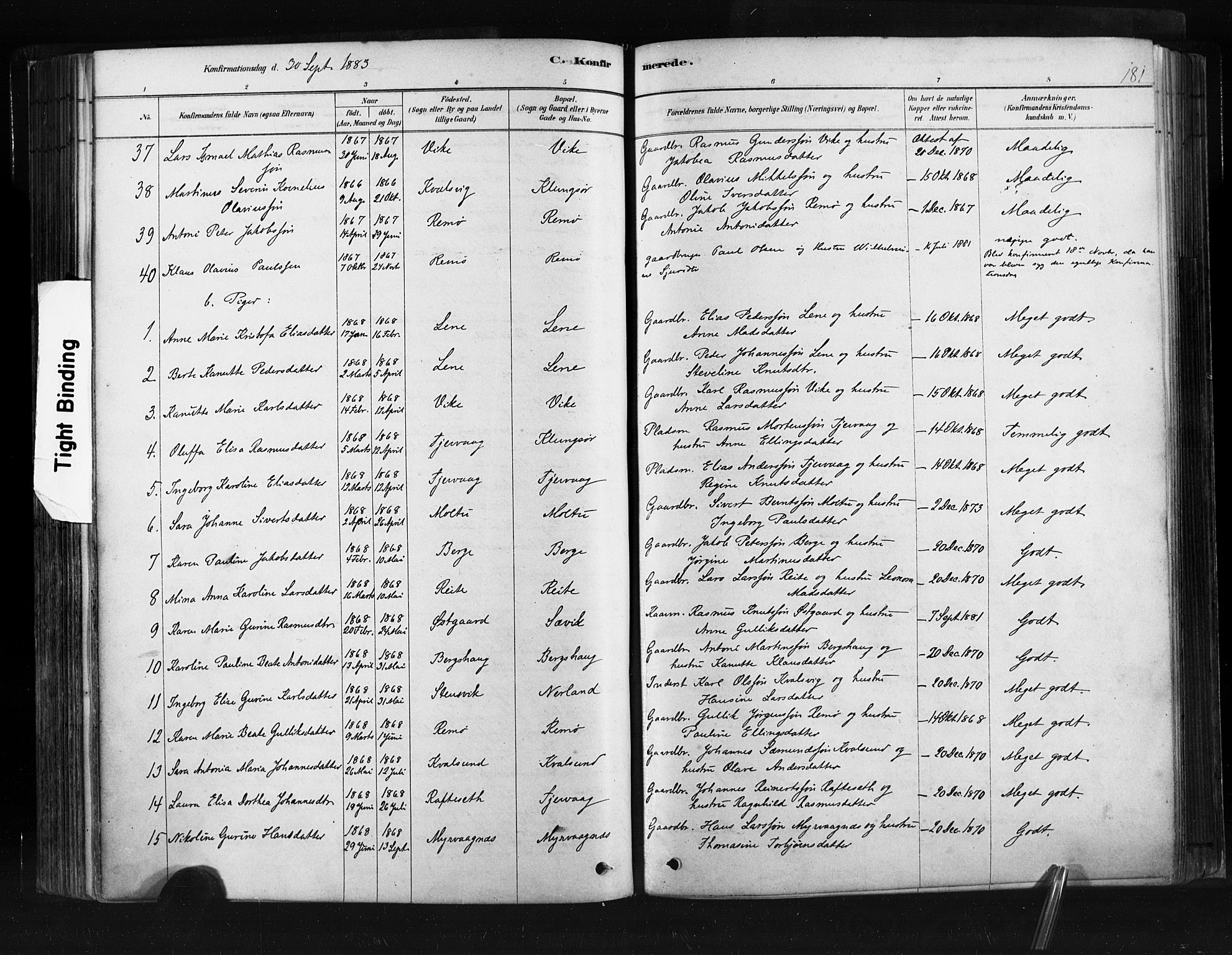 Ministerialprotokoller, klokkerbøker og fødselsregistre - Møre og Romsdal, AV/SAT-A-1454/507/L0073: Parish register (official) no. 507A08, 1878-1904, p. 181