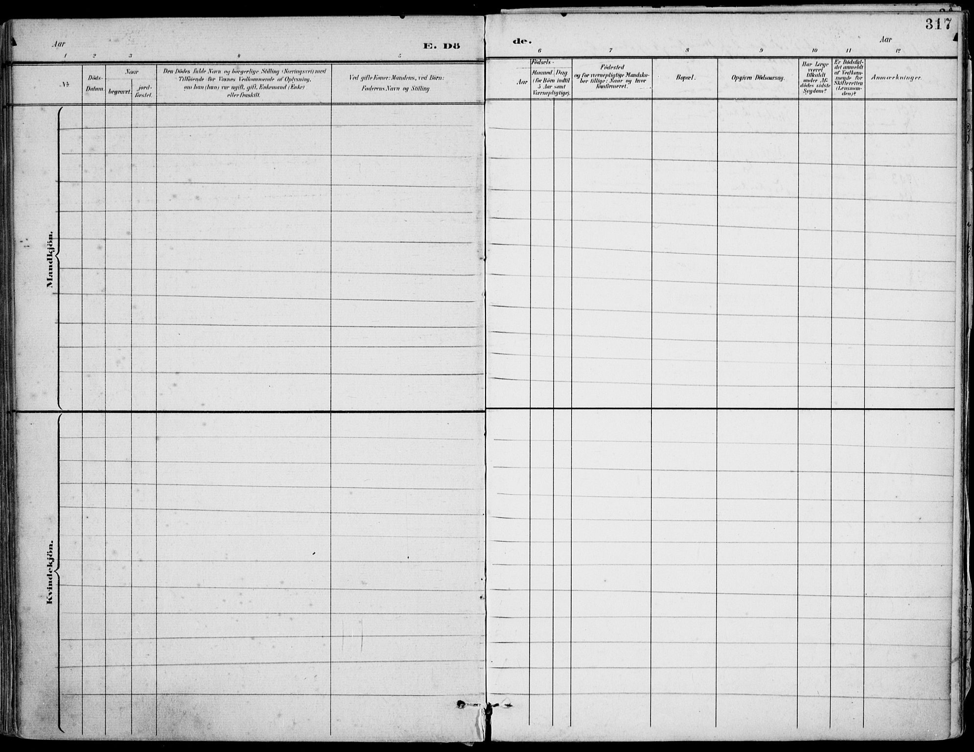 Barbu sokneprestkontor, AV/SAK-1111-0003/F/Fa/L0005: Parish register (official) no. A 5, 1899-1909, p. 317