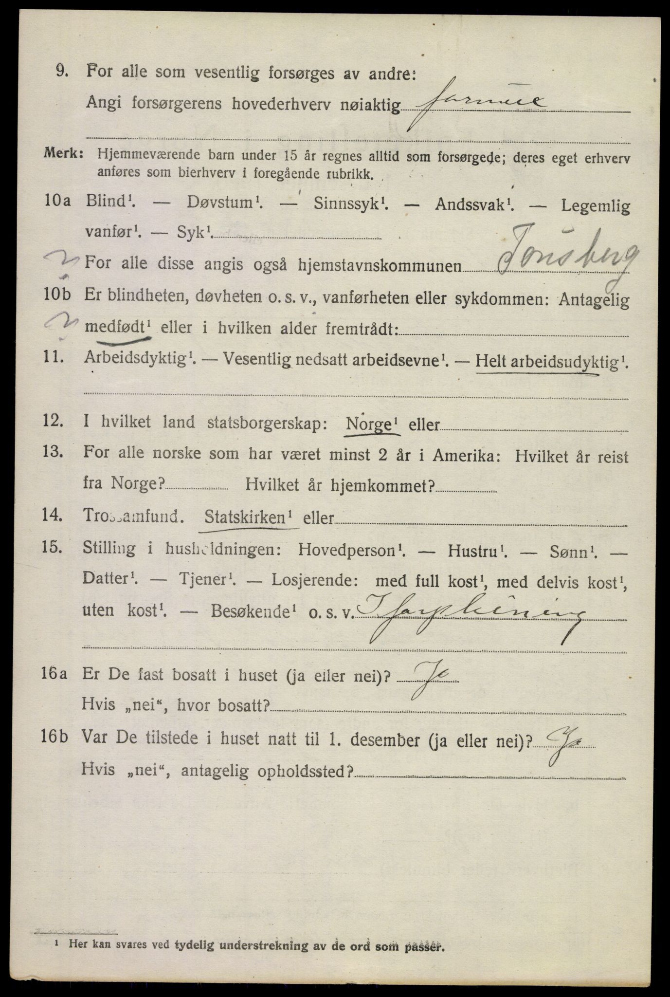 SAKO, 1920 census for Stokke, 1920, p. 11179