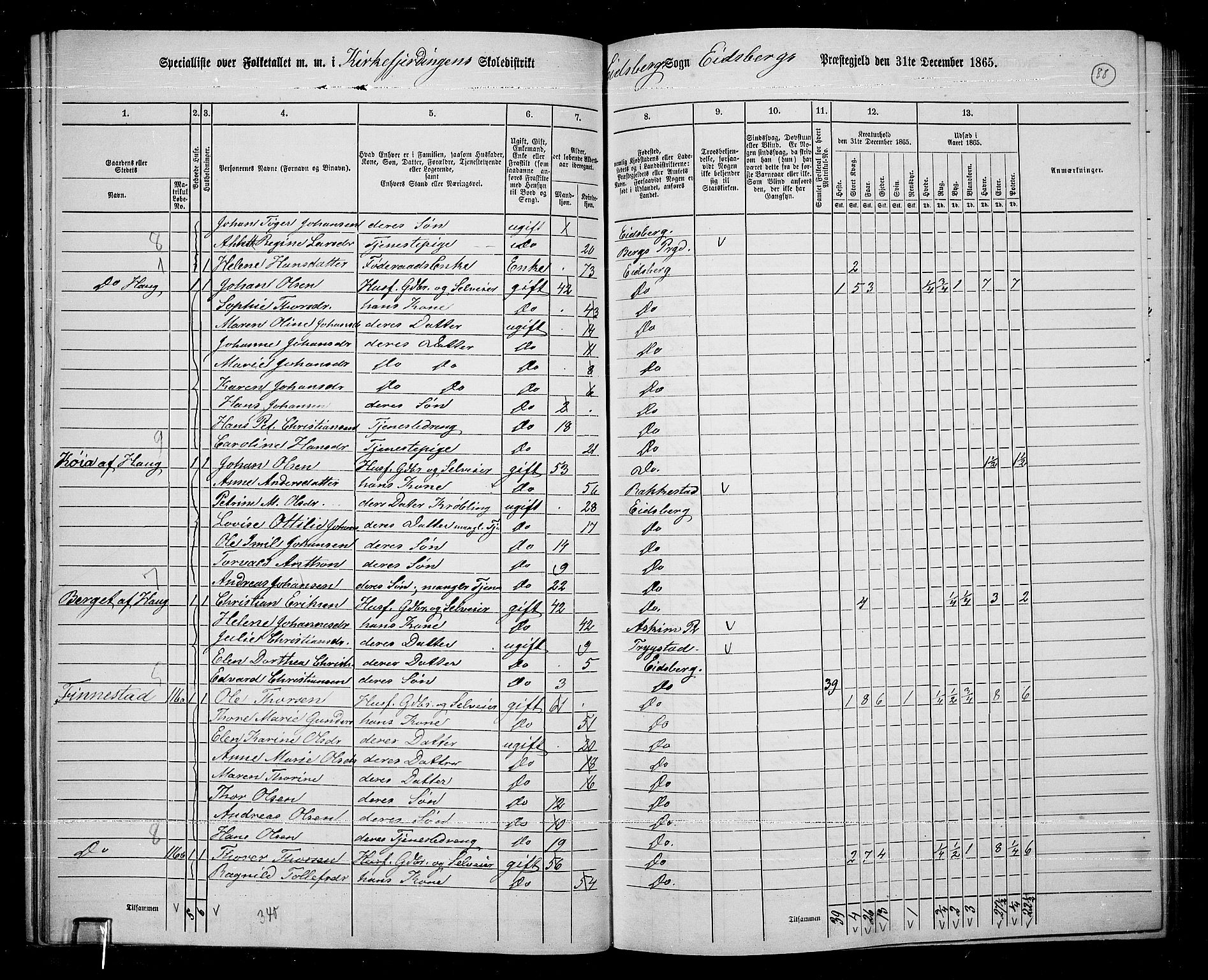 RA, 1865 census for Eidsberg, 1865, p. 77