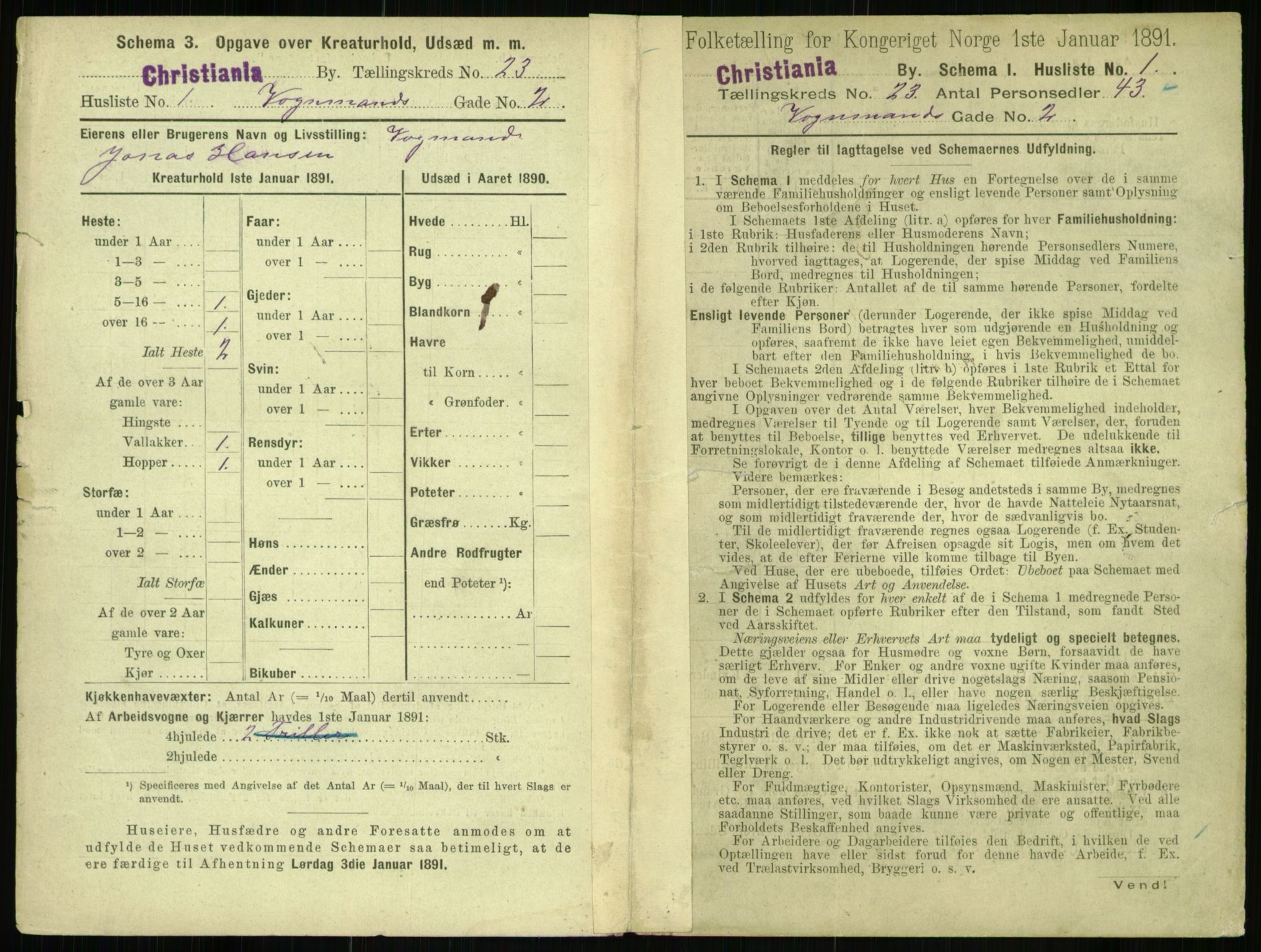 RA, 1891 census for 0301 Kristiania, 1891, p. 10987