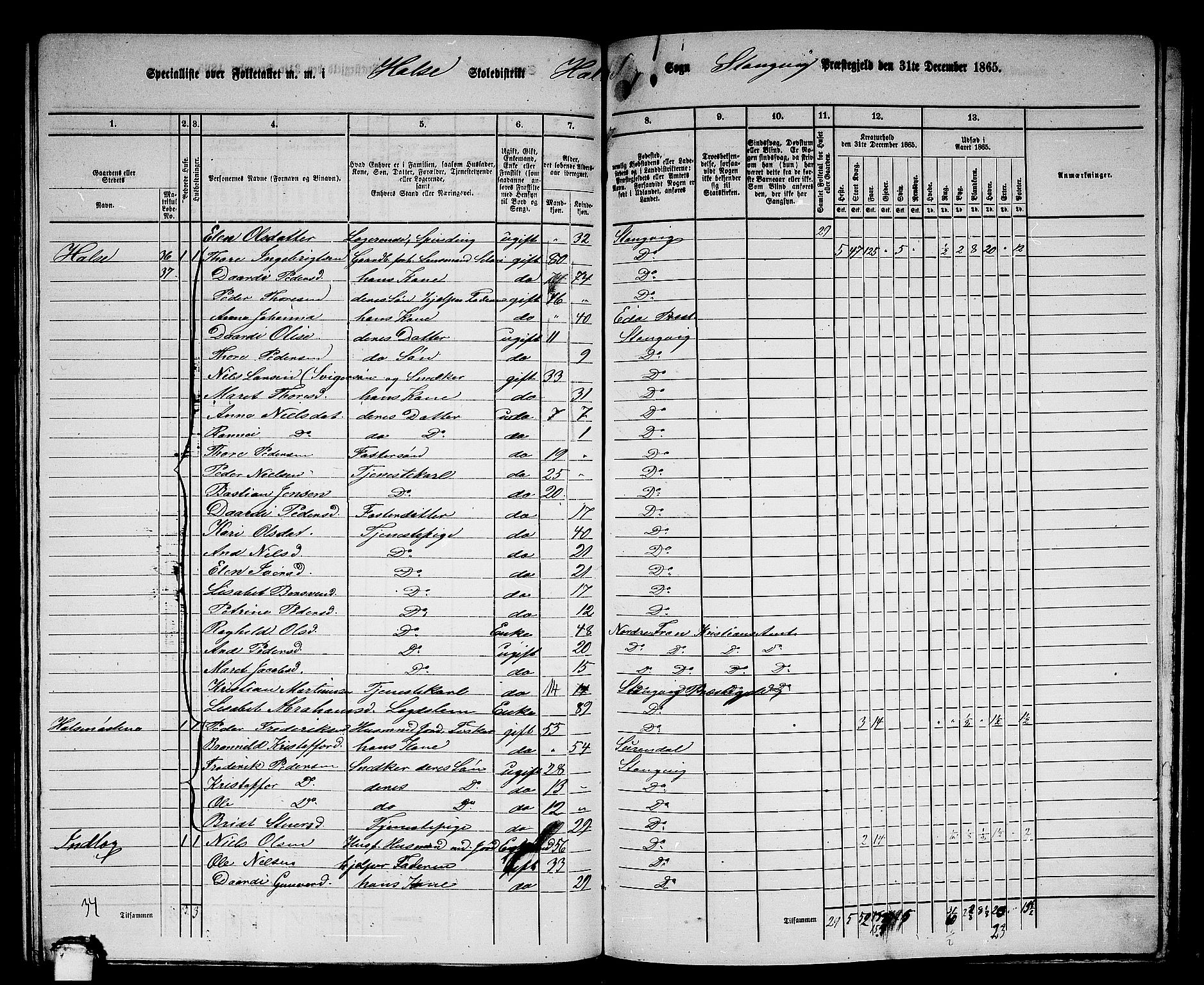 RA, 1865 census for Stangvik, 1865, p. 133