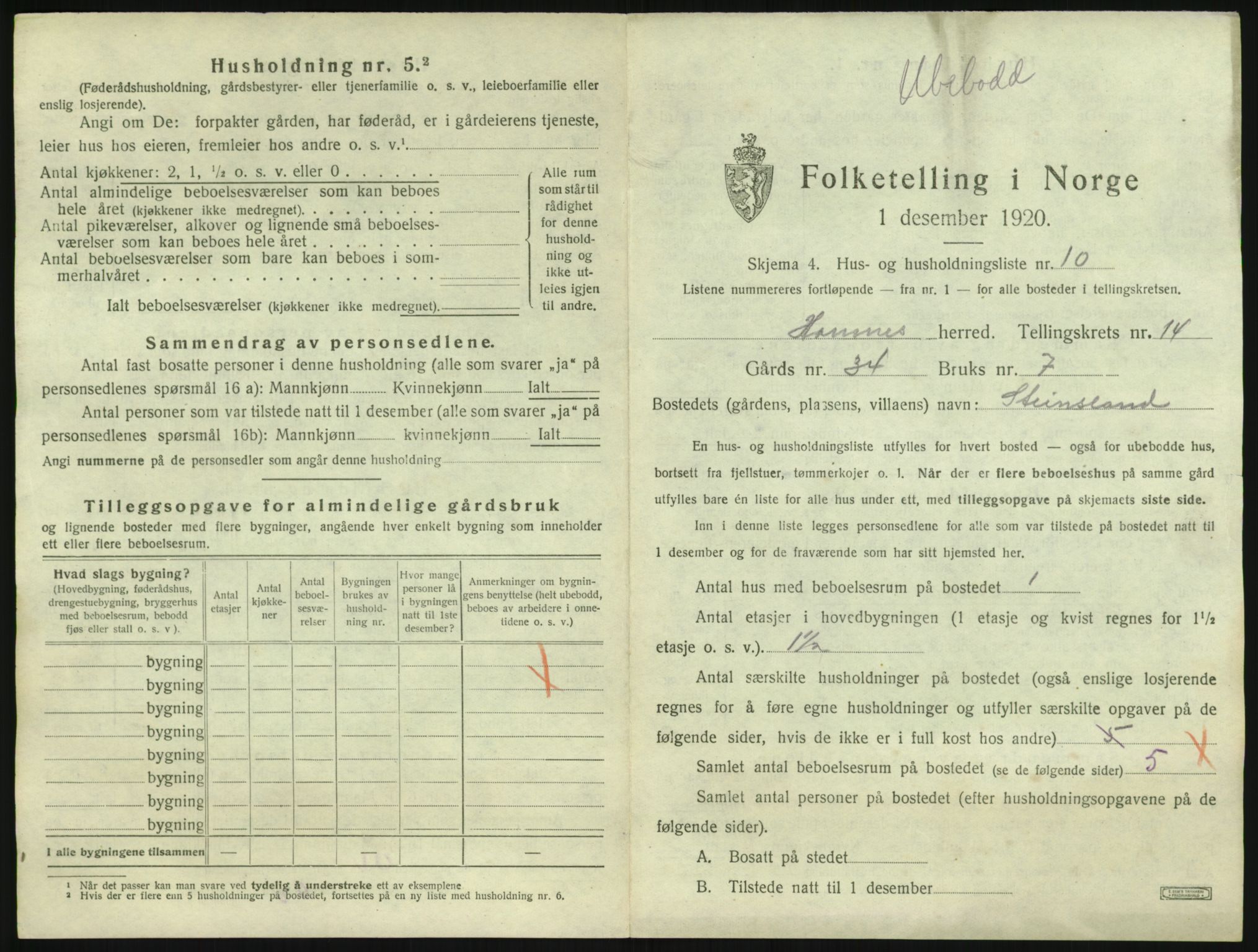 SAK, 1920 census for Hornnes, 1920, p. 557