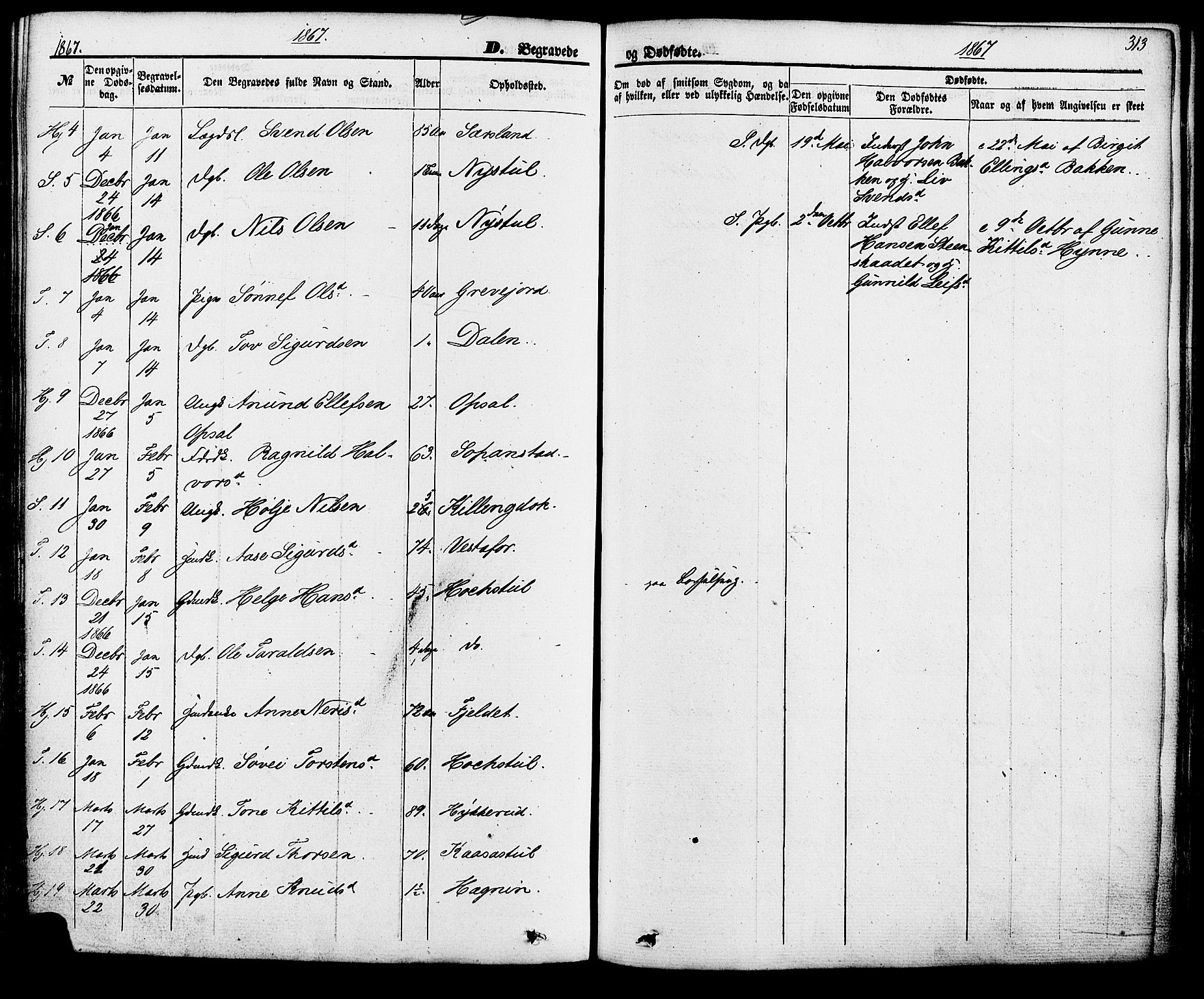 Hjartdal kirkebøker, SAKO/A-270/F/Fa/L0009: Parish register (official) no. I 9, 1860-1879, p. 313