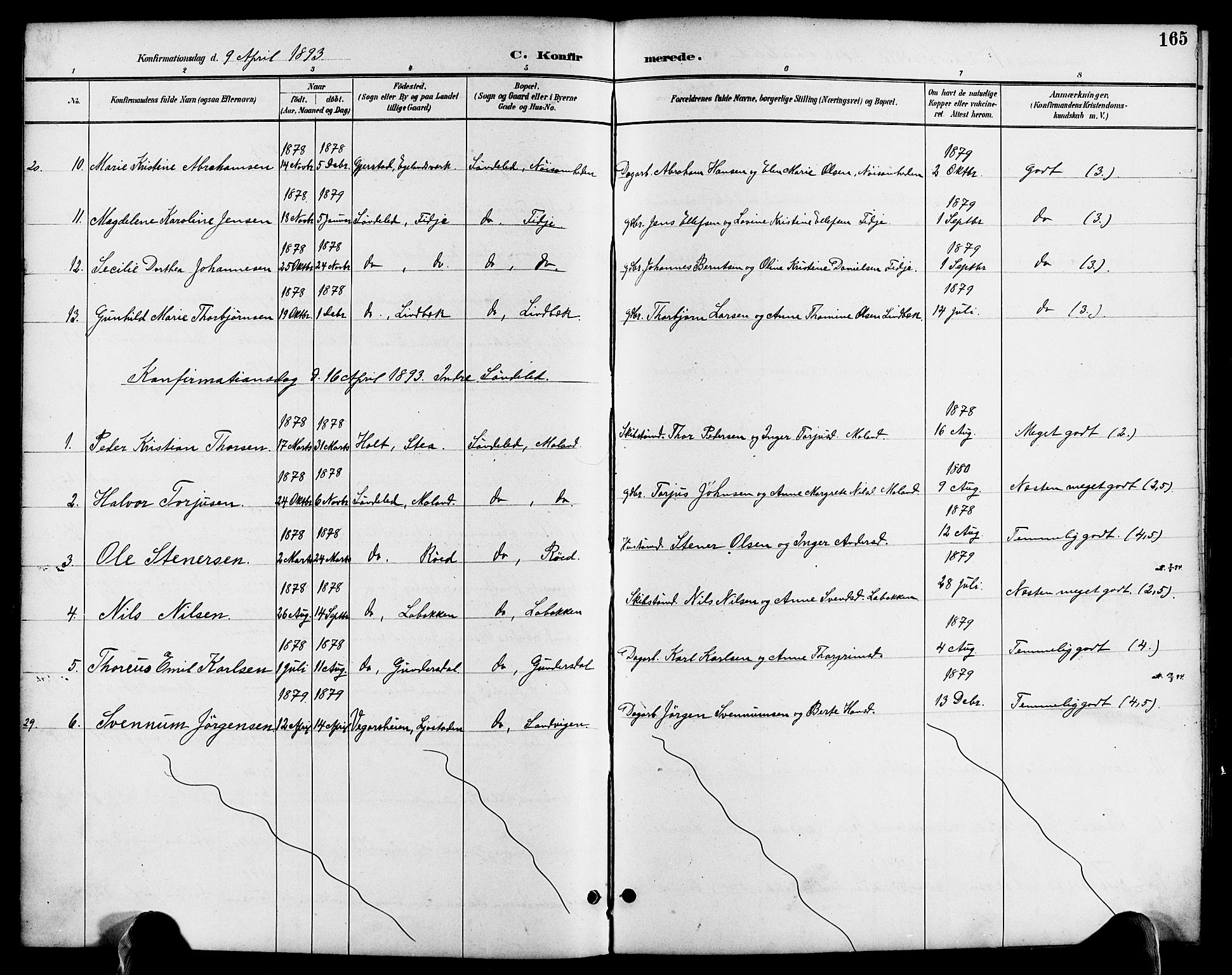 Søndeled sokneprestkontor, AV/SAK-1111-0038/F/Fa/L0005: Parish register (official) no. A 5, 1889-1899, p. 165