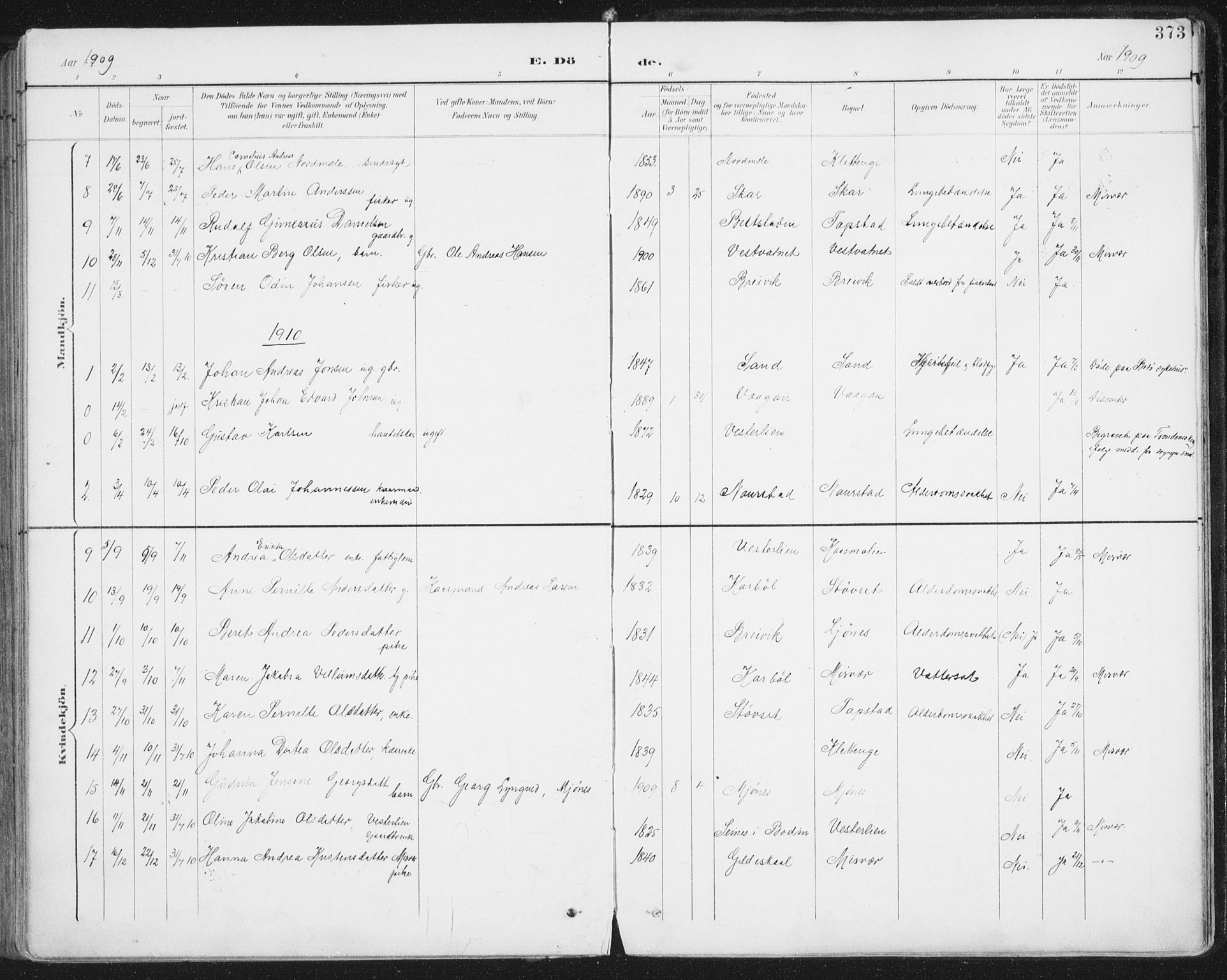 Ministerialprotokoller, klokkerbøker og fødselsregistre - Nordland, SAT/A-1459/852/L0741: Parish register (official) no. 852A11, 1894-1917, p. 373
