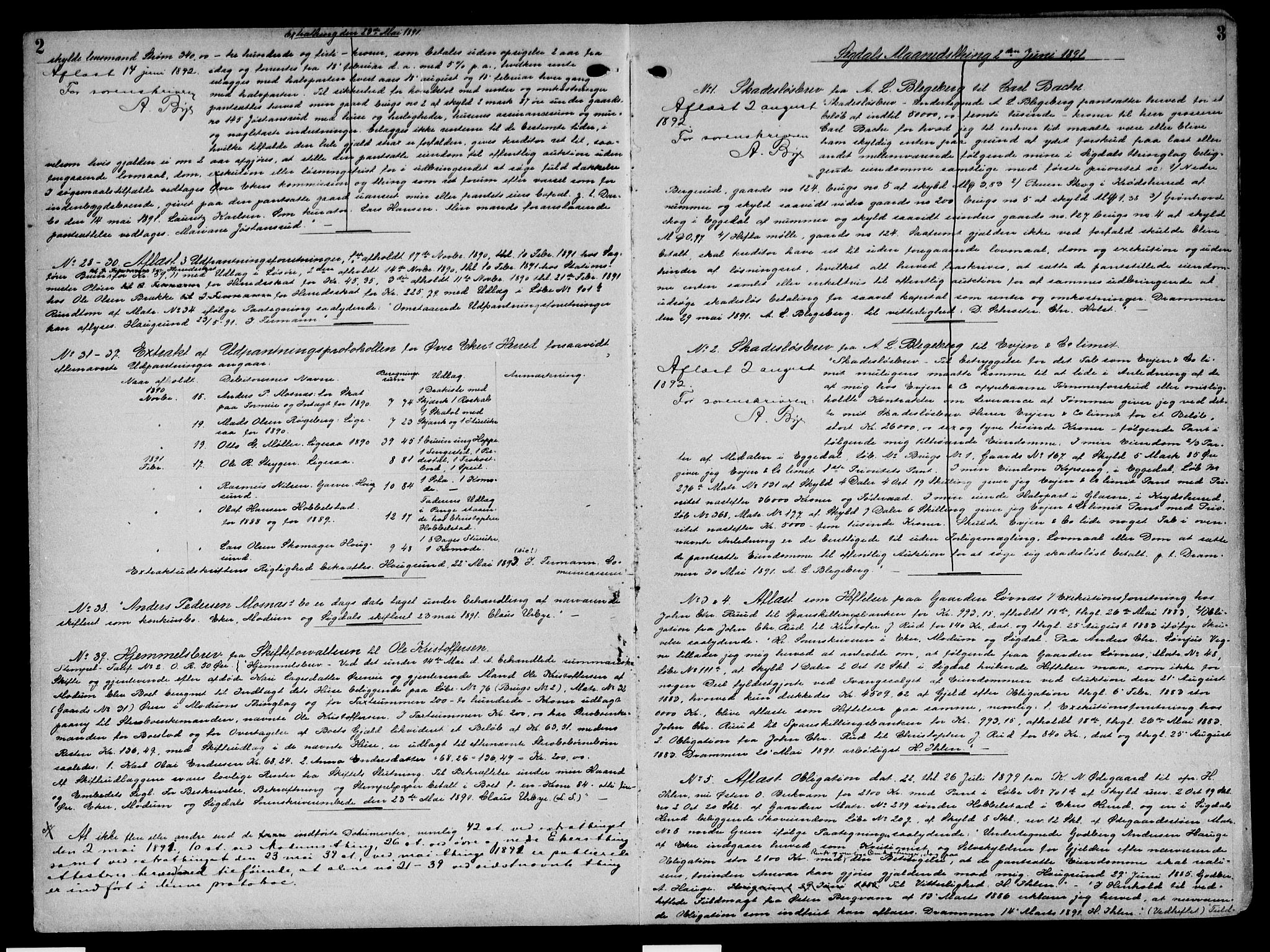 Eiker, Modum og Sigdal sorenskriveri, AV/SAKO-A-123/G/Ga/Gaa/L0021: Mortgage book no. I 21, 1891-1894, p. 2-3