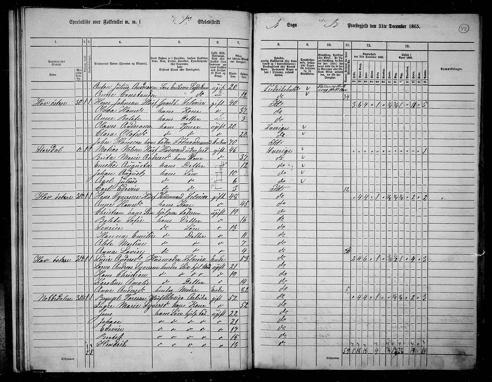 RA, 1865 census for Idd, 1865, p. 40