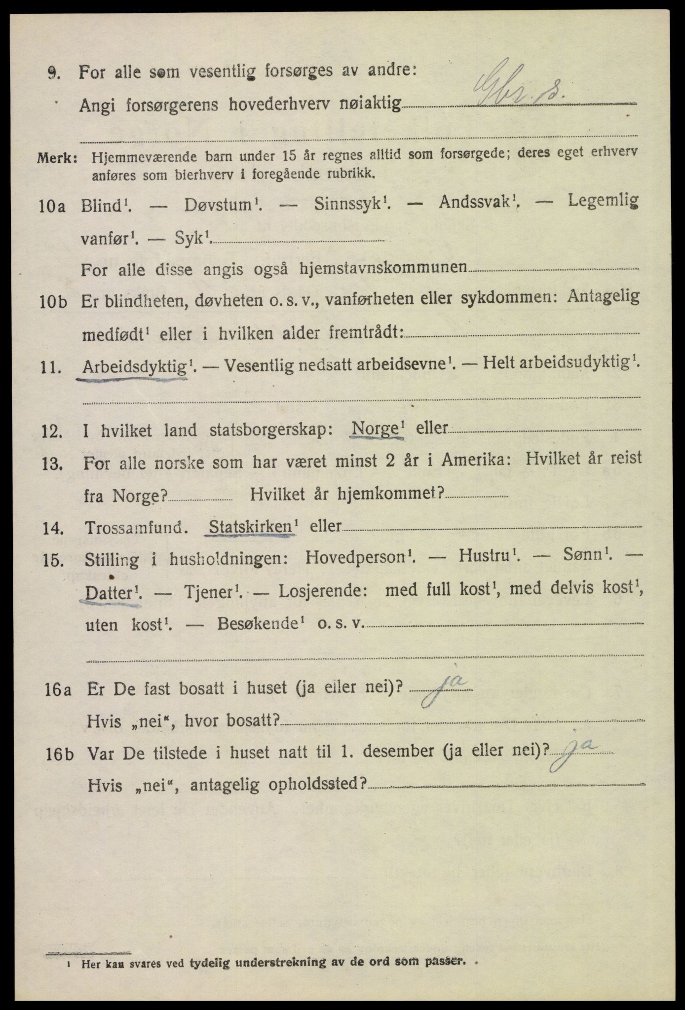 SAH, 1920 census for Vinger, 1920, p. 11219